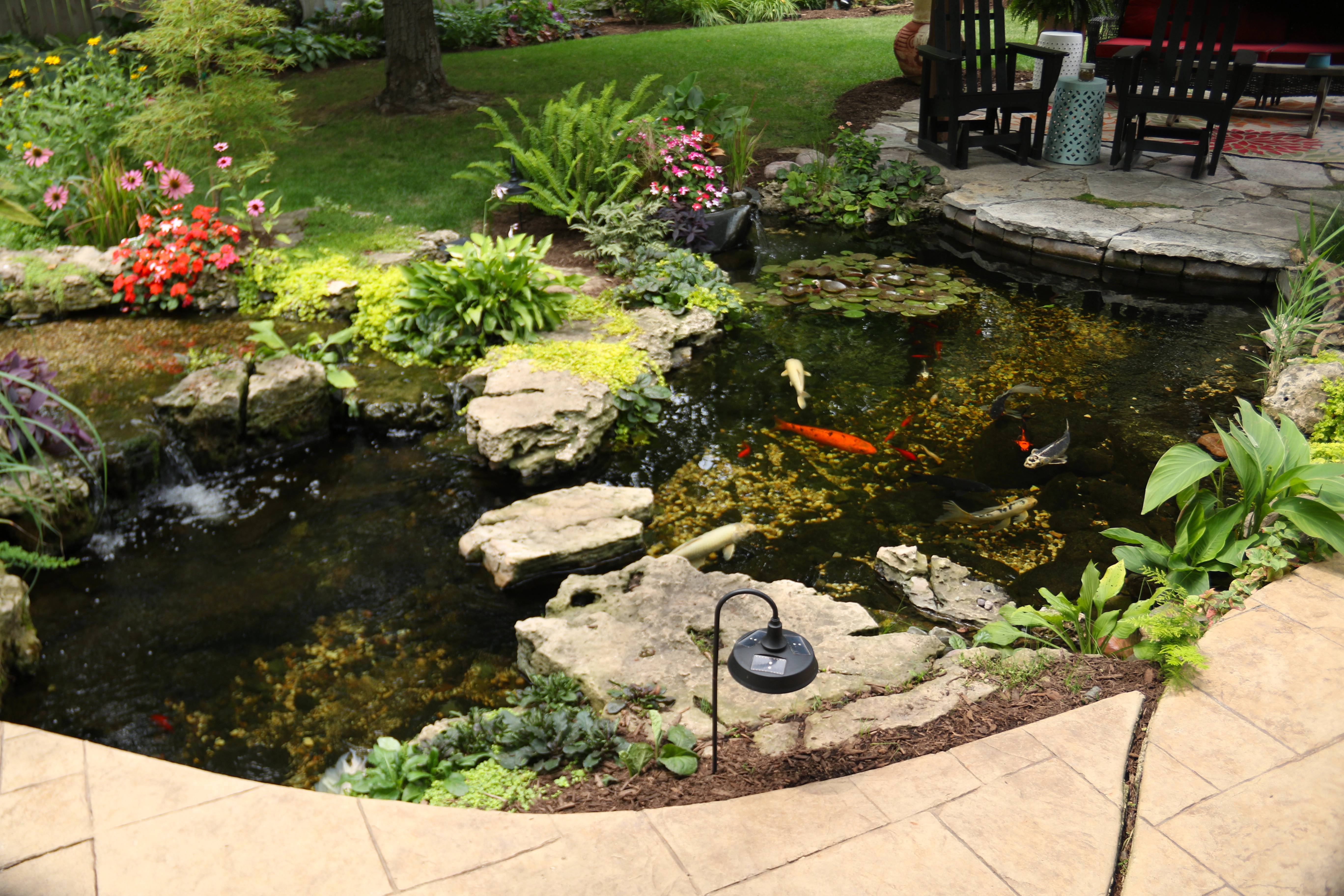 Custom backyard pond off a patio in Albert Lea Minnesota