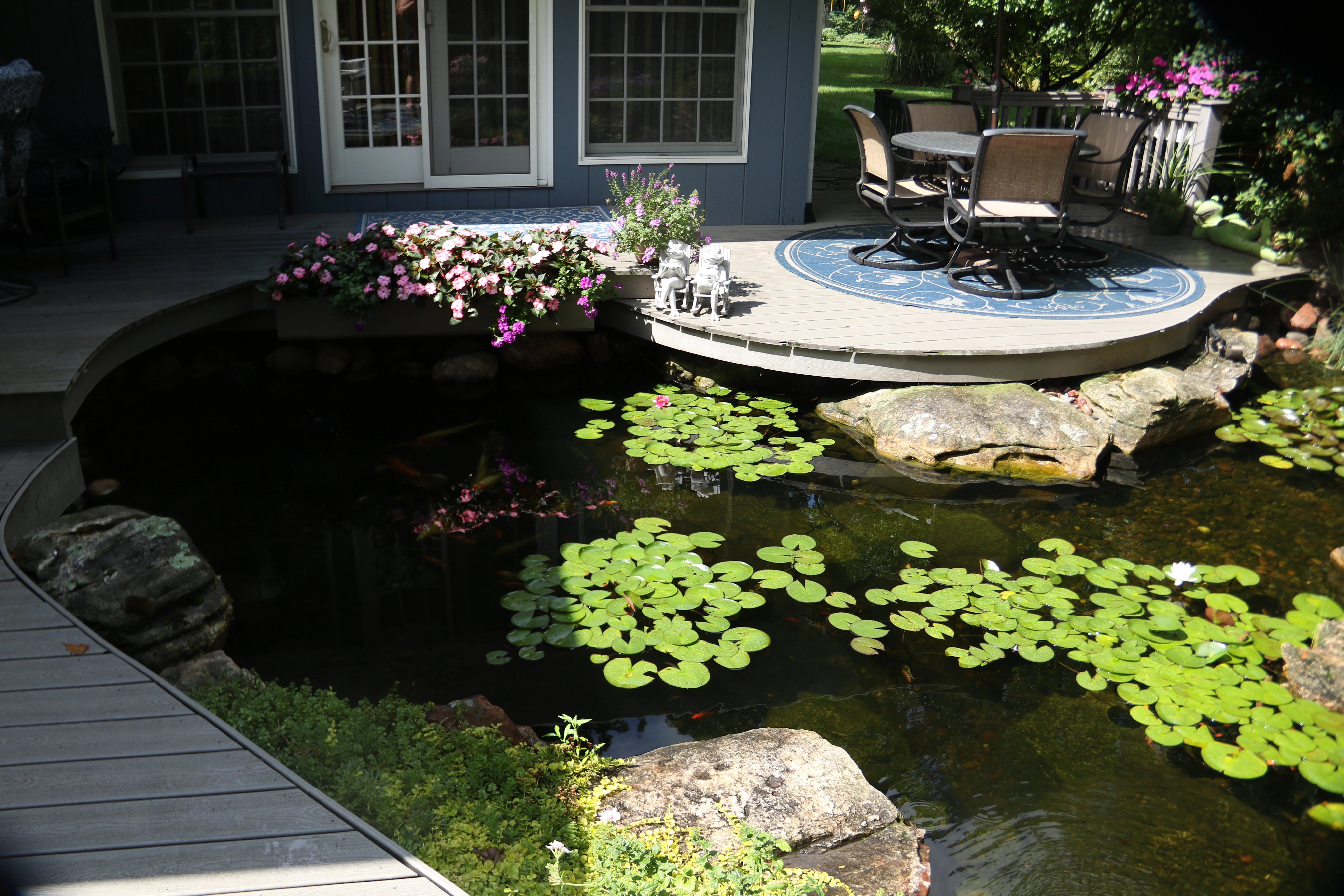 Clear balanced ecosystem pond with healthy water circulation and filtration