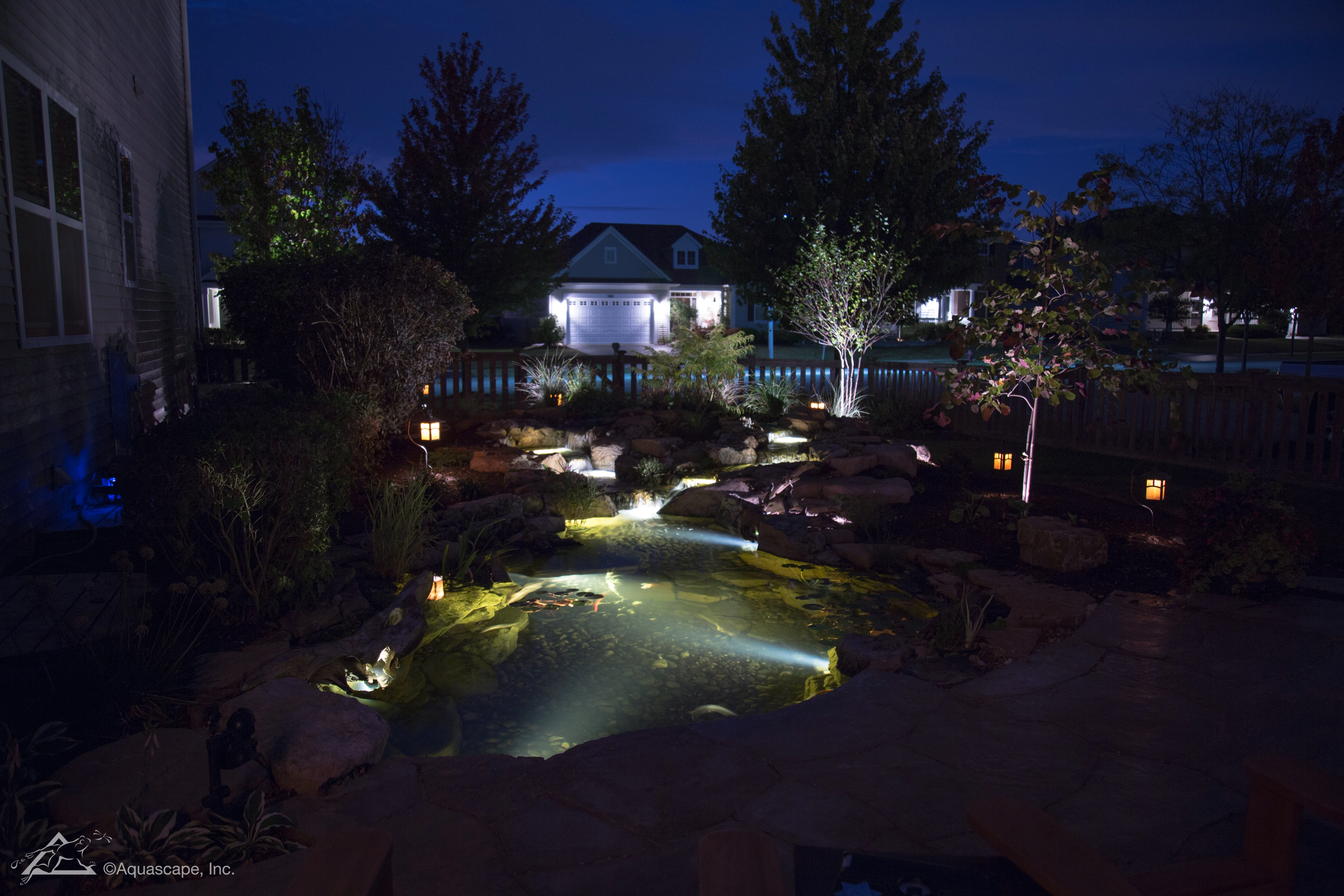 Night time backyard ecosystem pond with water feature lighting