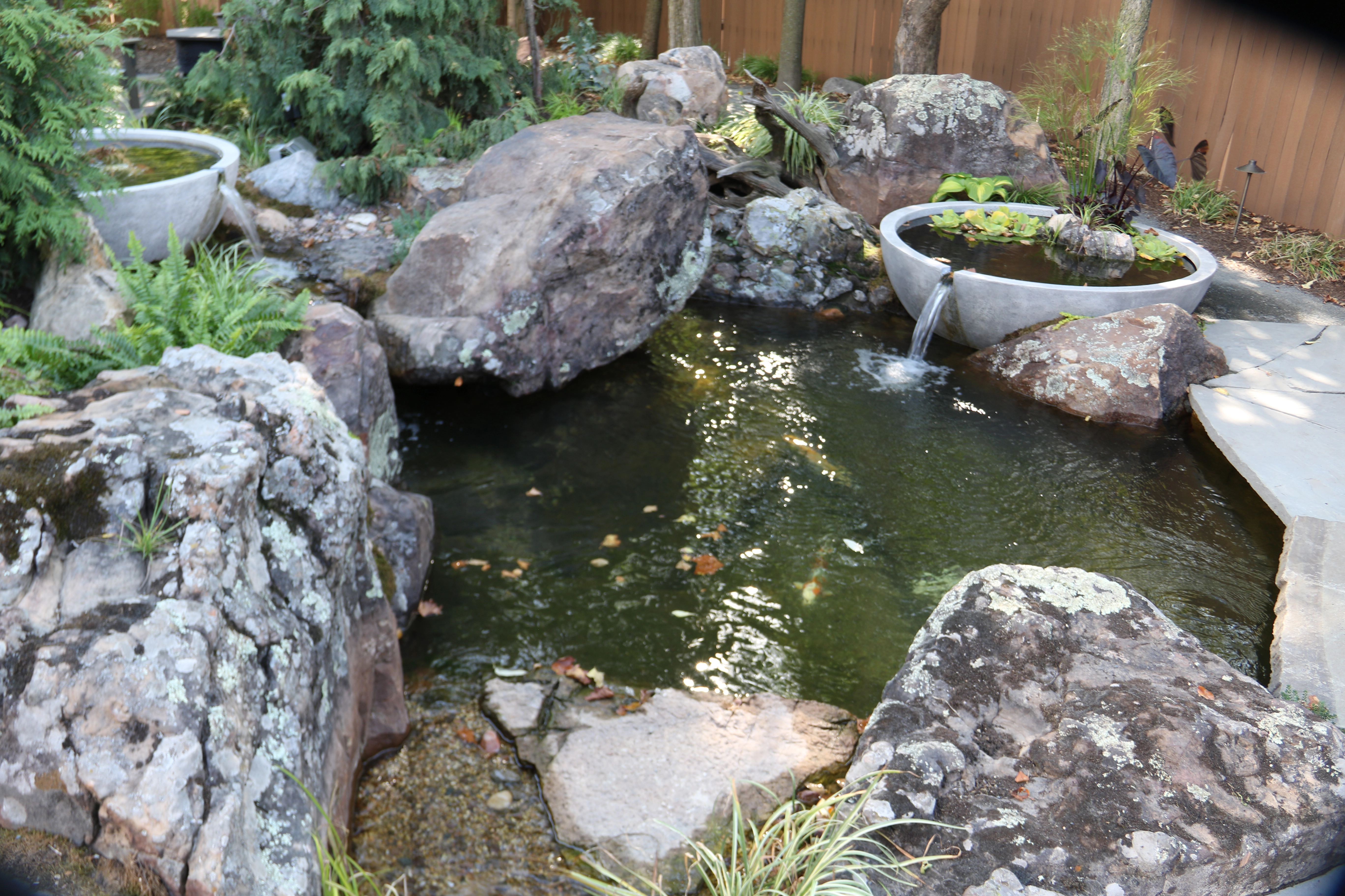 Small backyard ecosystem pond with natural stone, water movement, and integrated landscaping