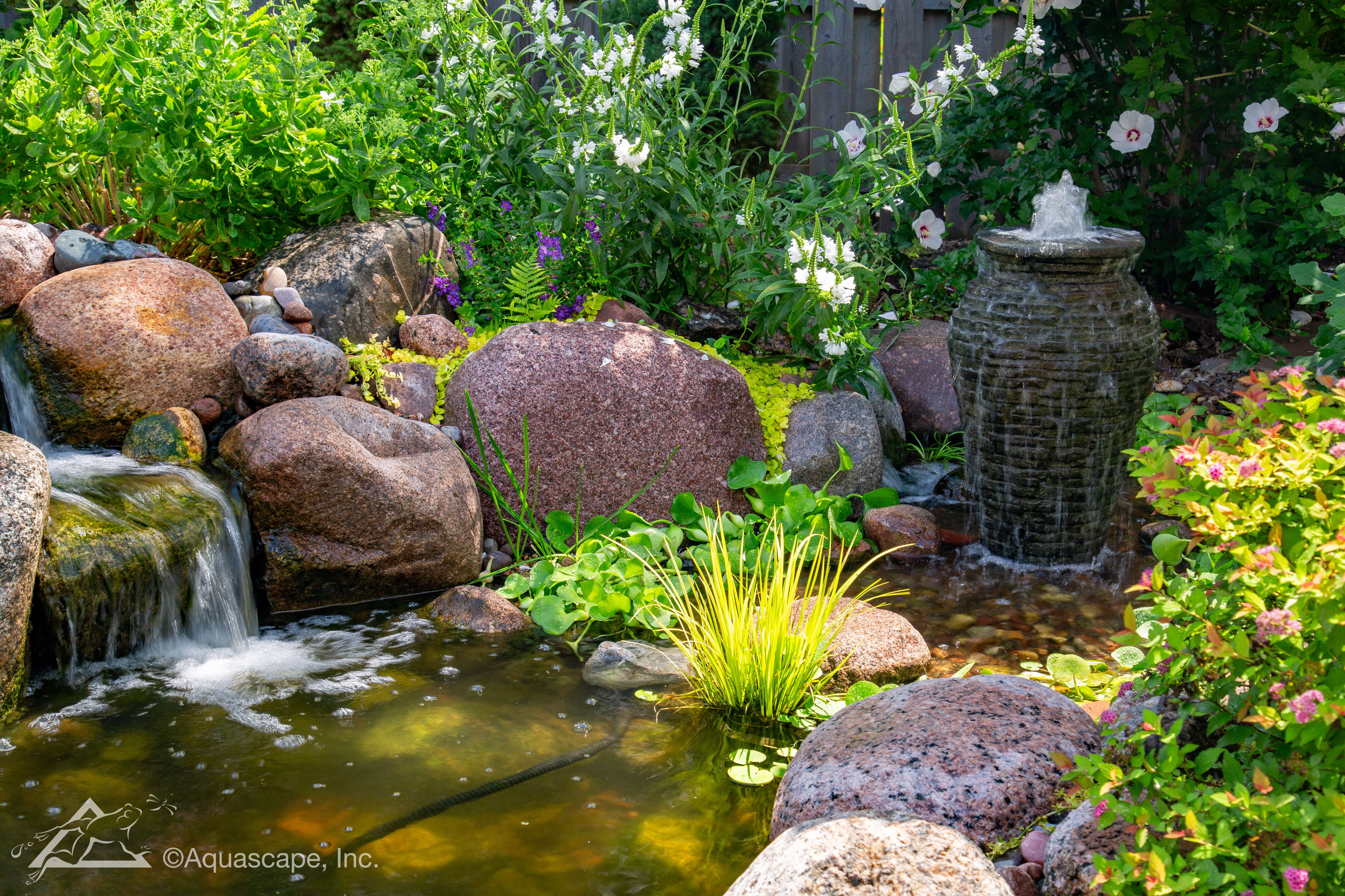 Small water feature integrated naturally into an existing residential landscape