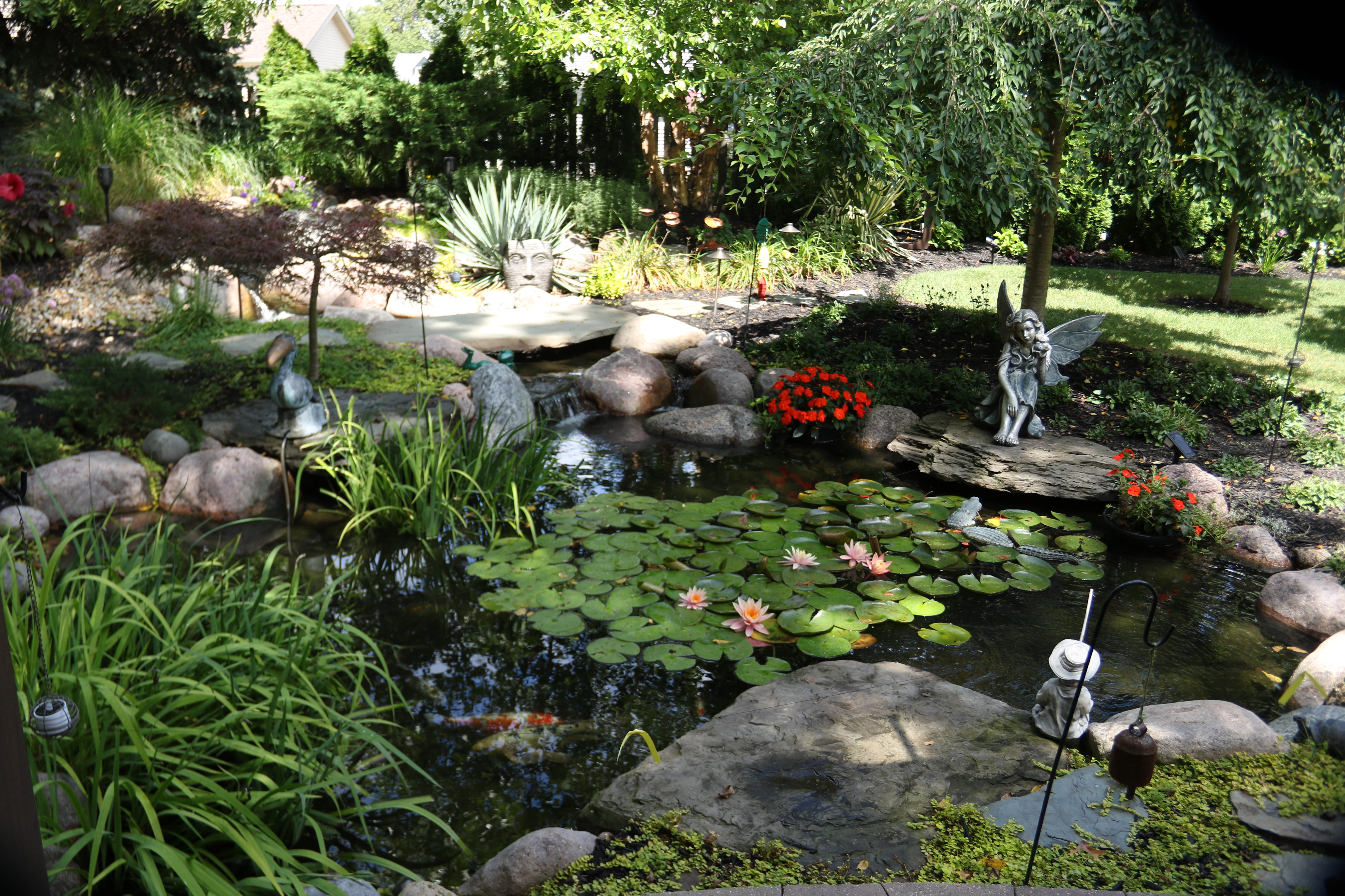 Maintained ecosystem pond