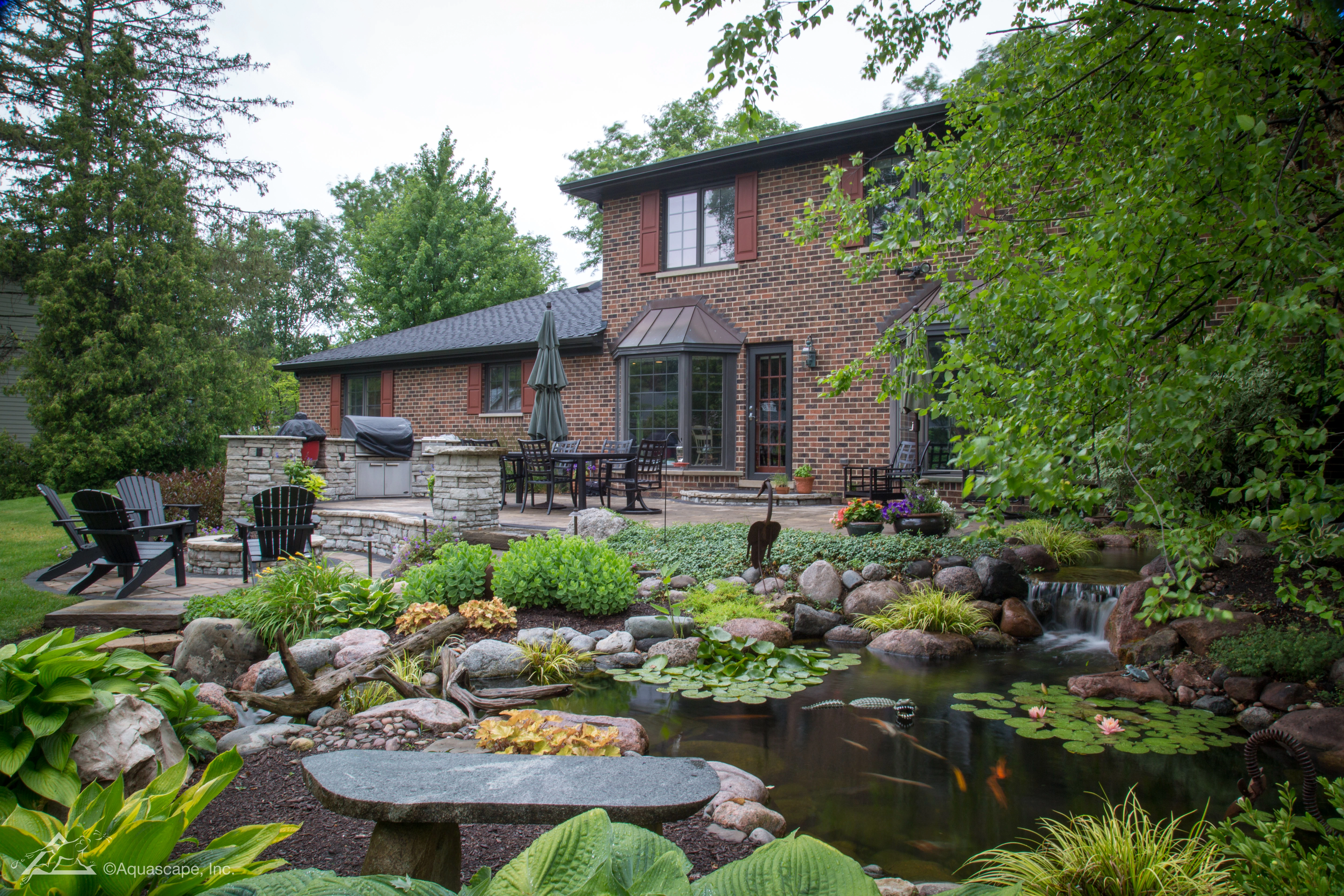 Backyard ecosystem pond