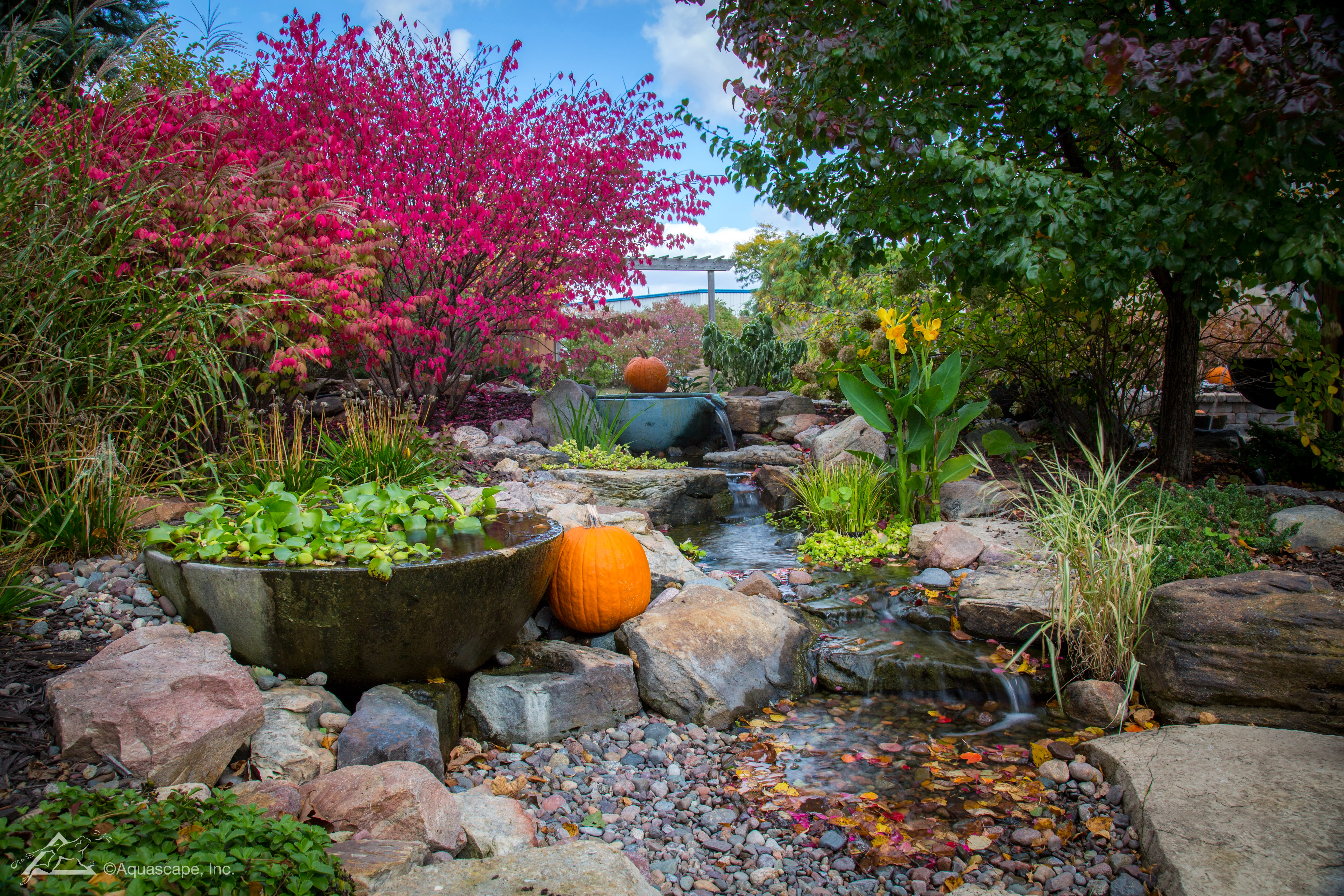 Fall backyard water feature with seasonal color near Chanhassen Minnesota
