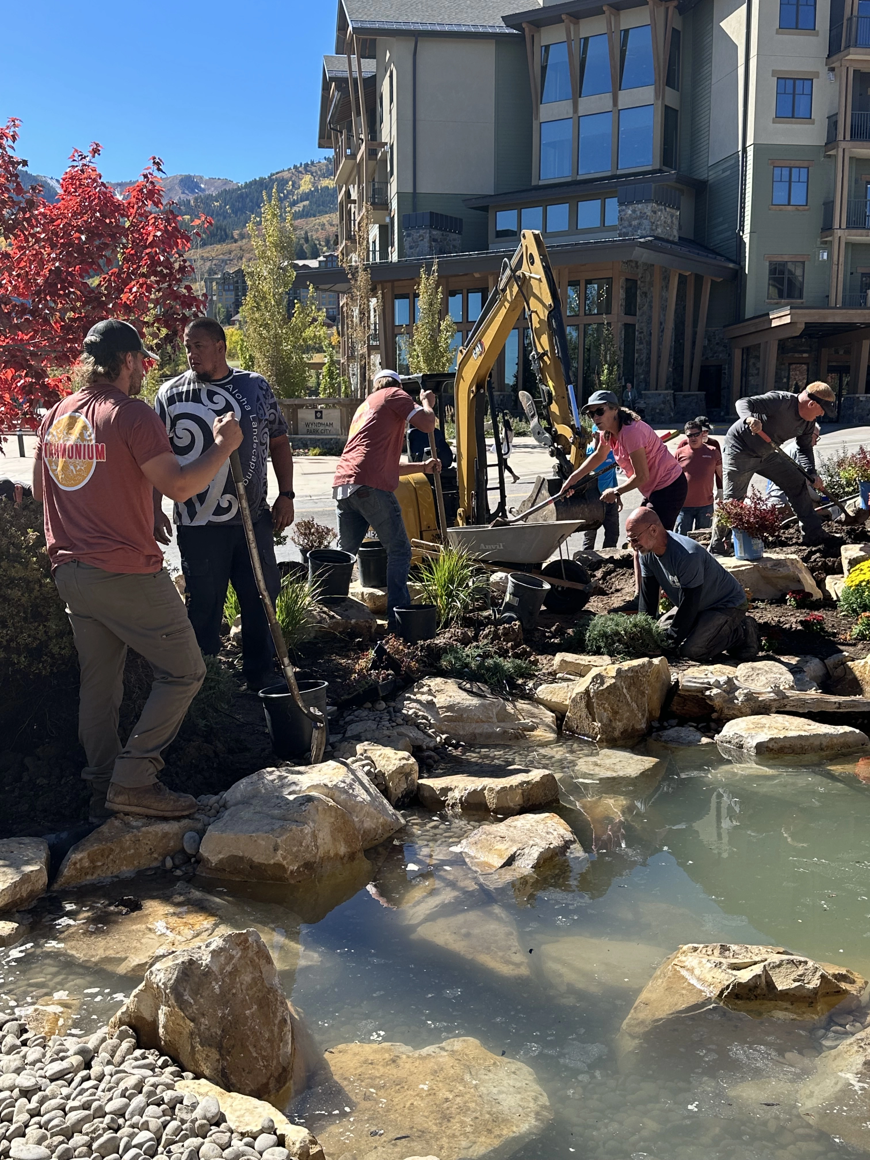 Ecosystem pond planting with grasses and natural landscape integration
