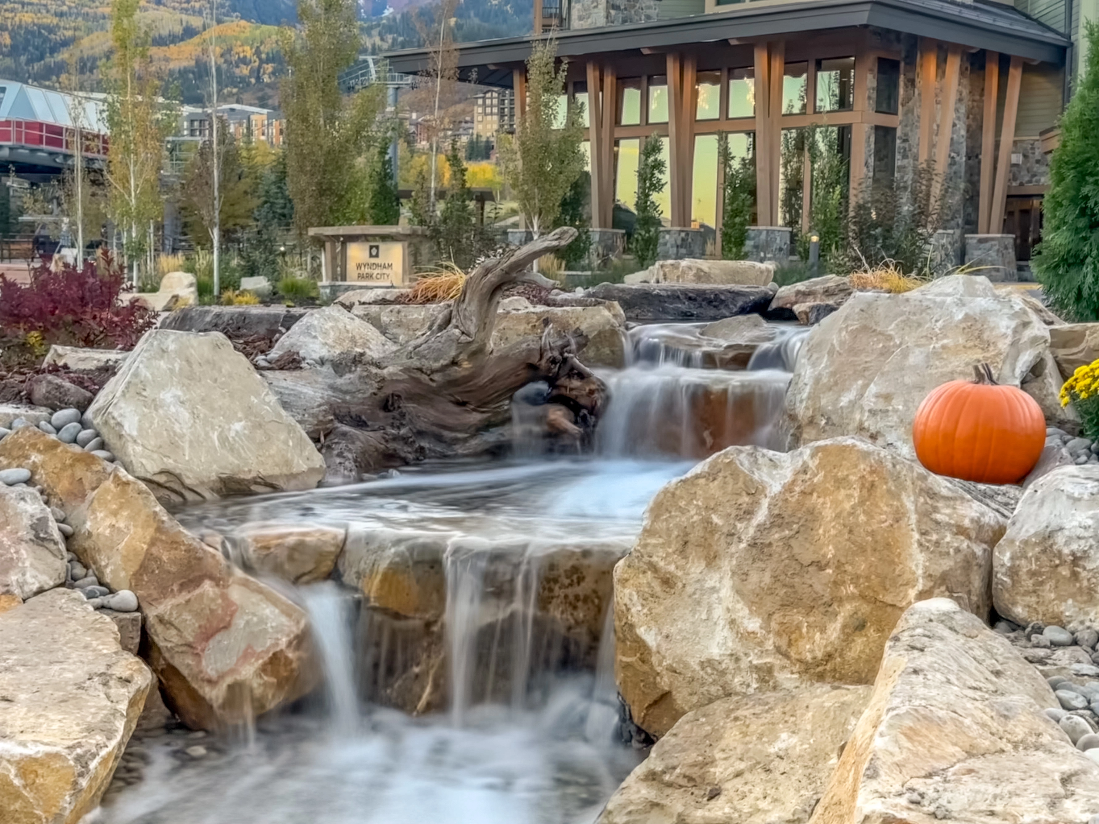 Natural ecosystem waterfall design with boulders, driftwood, plants, and moving water