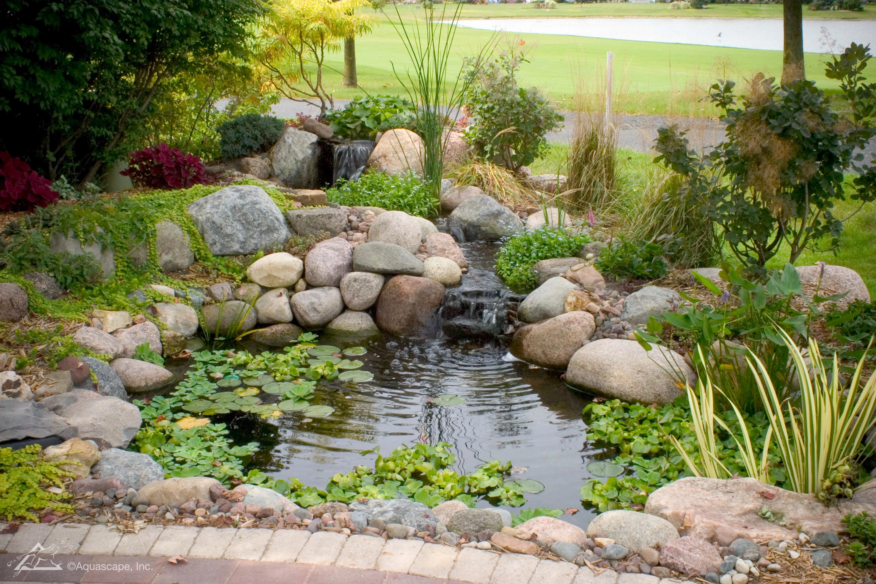 Backyard ecosystem pond with natural stone and aquatic plants in Eagan Minnesota