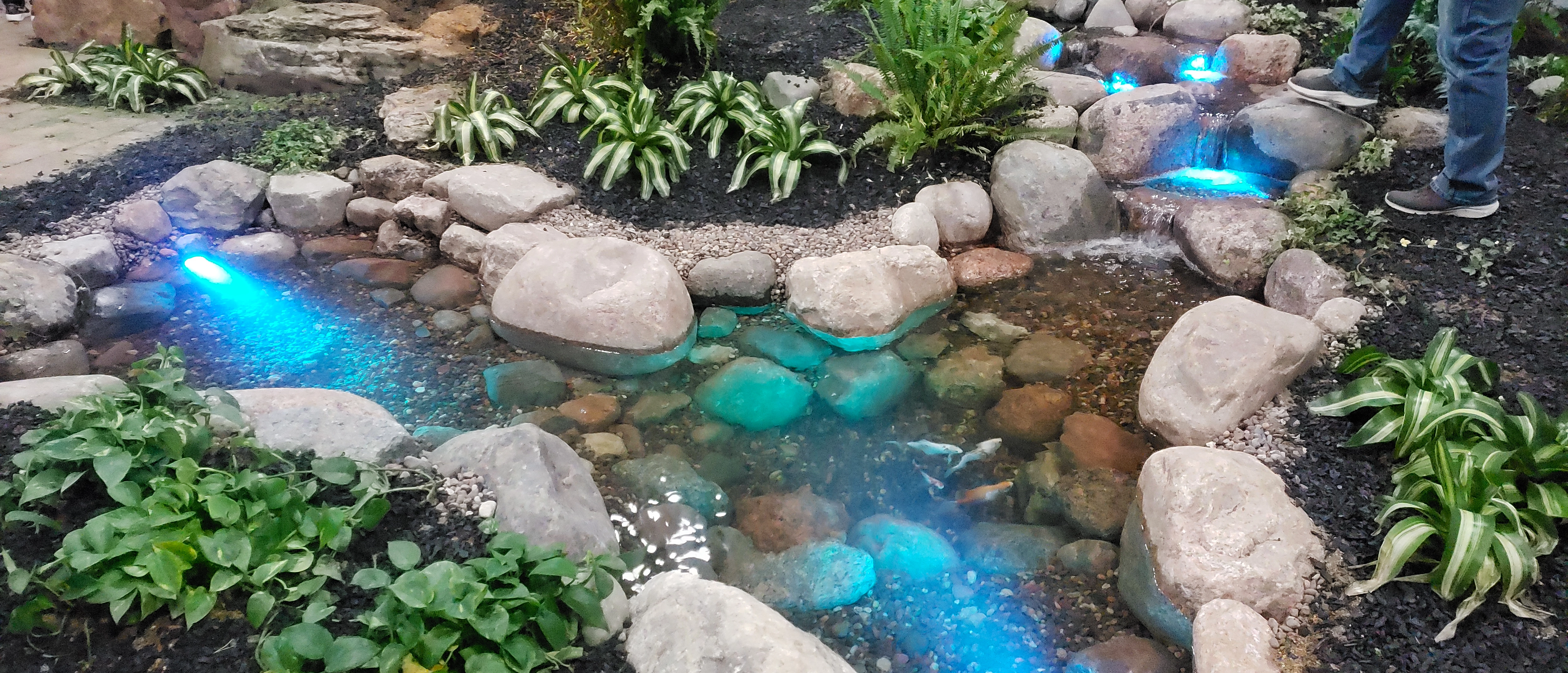 Backyard ecosystem pond with waterfall and lighting in Eagan Minnesota