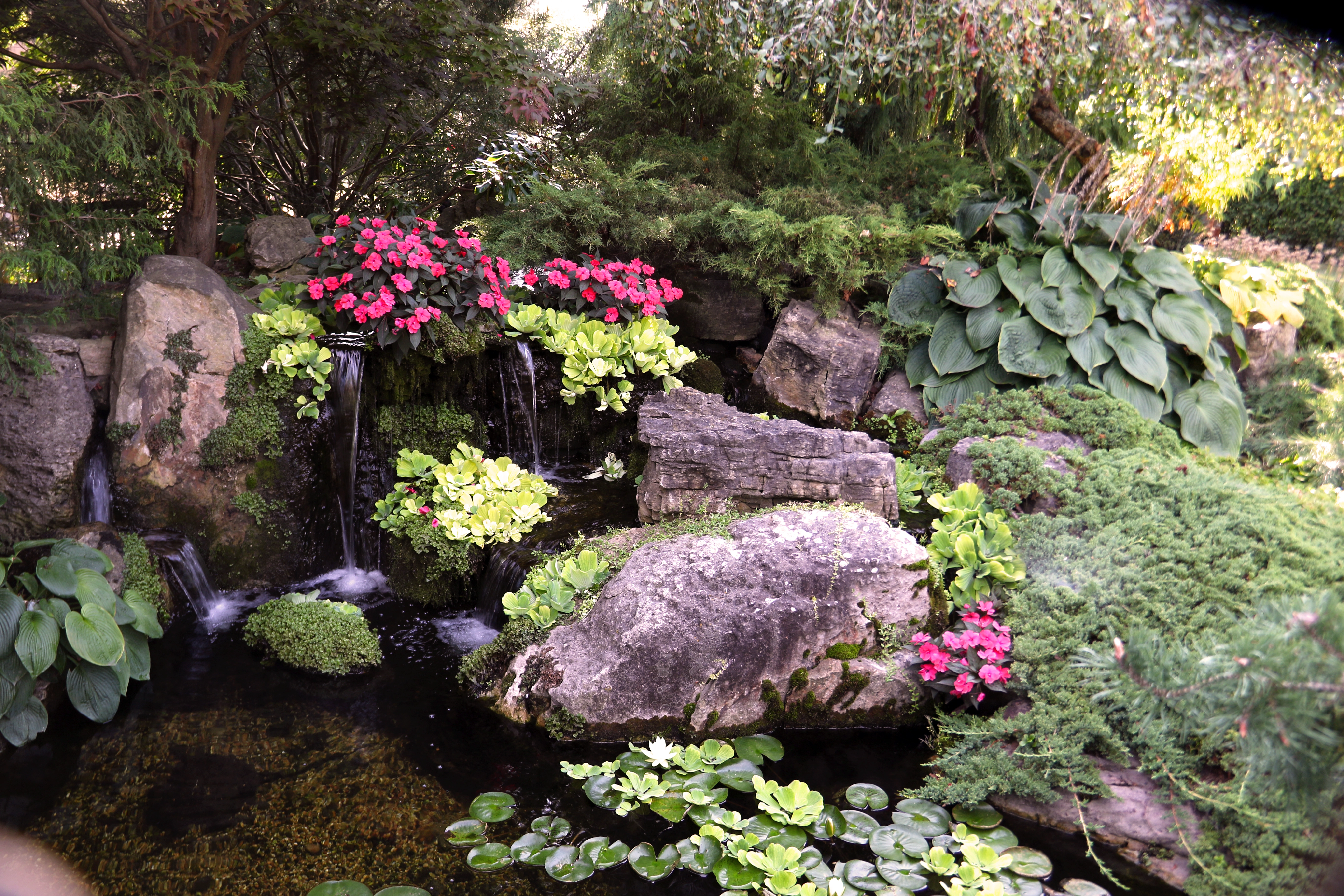 Large ecosystem pond serving the Eden Prairie Minnesota area