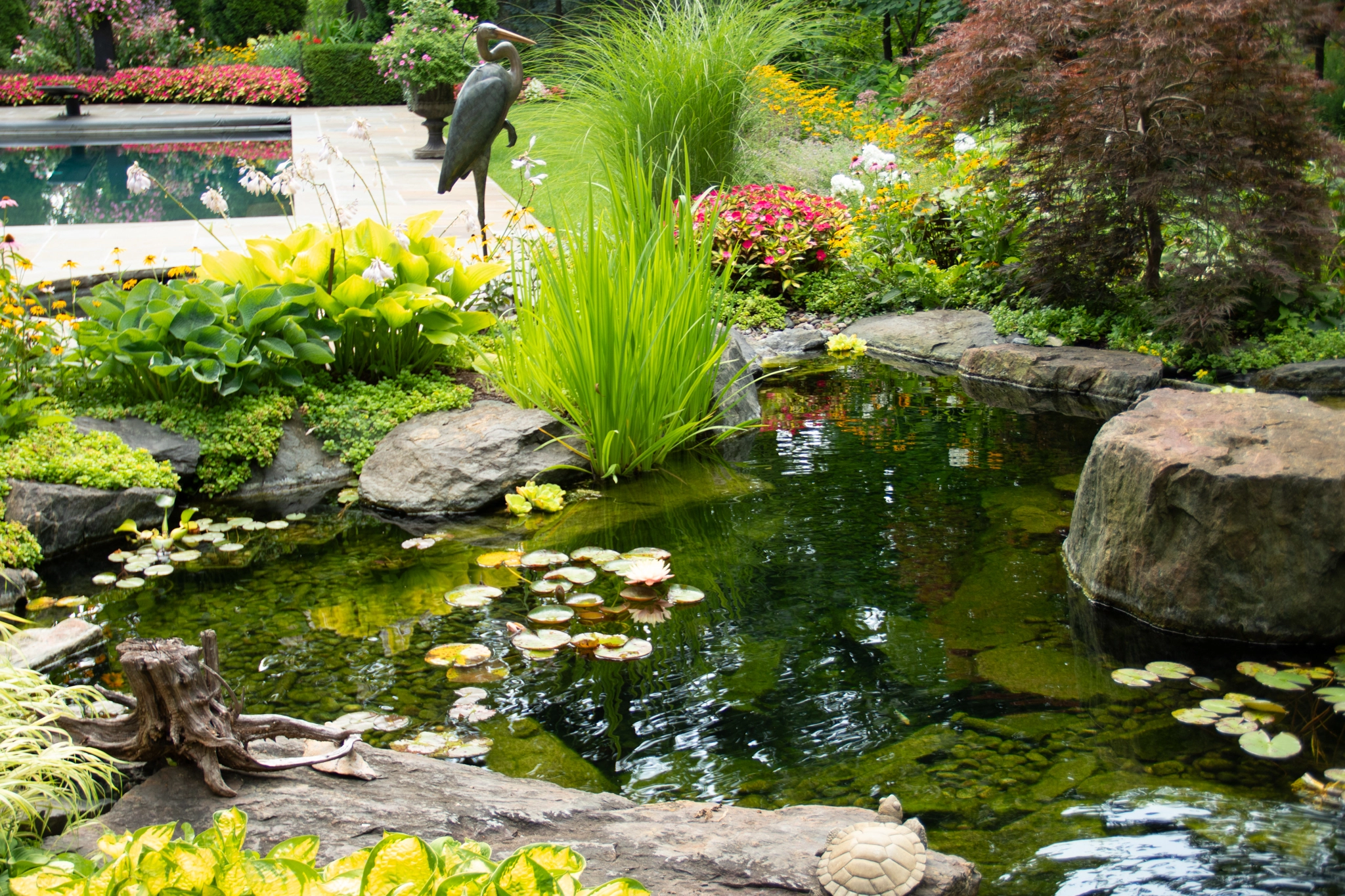 Natural ecosystem pond with aquatic plants and clear water in Fairmont Minnesota