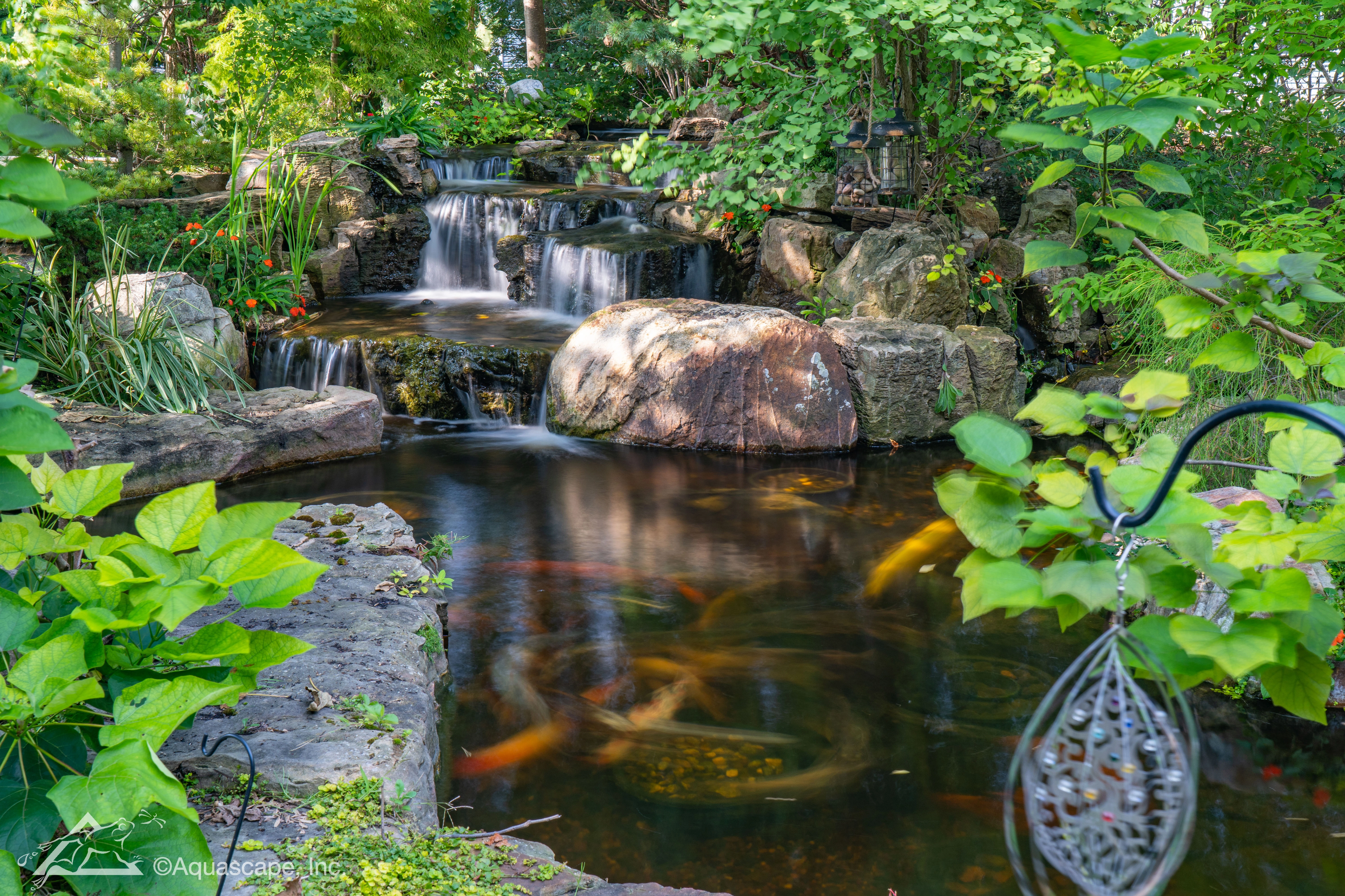 Natural backyard pond waterfall with koi in Fairmont Minnesota