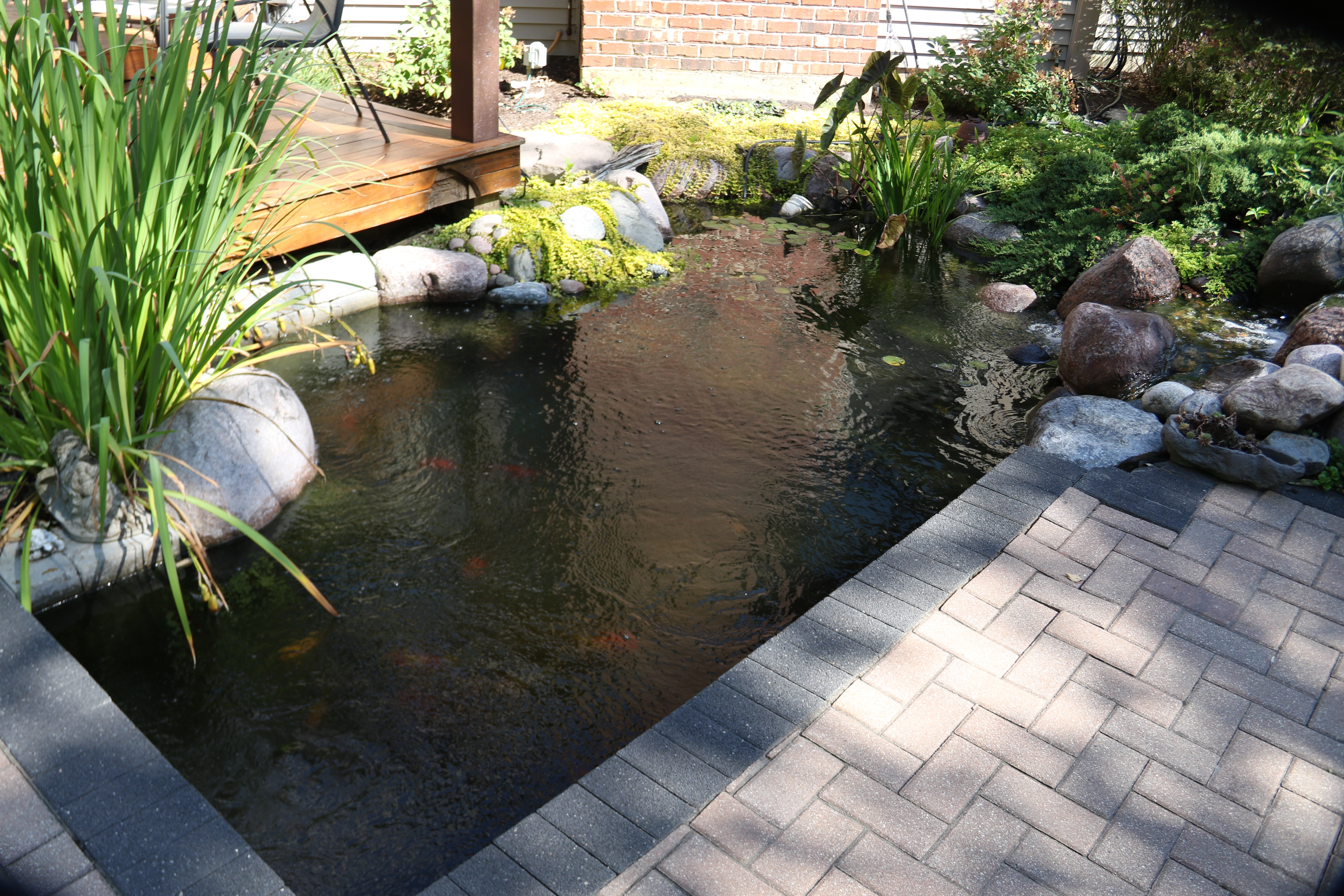 Small backyard pond near patio in Farmington Minnesota