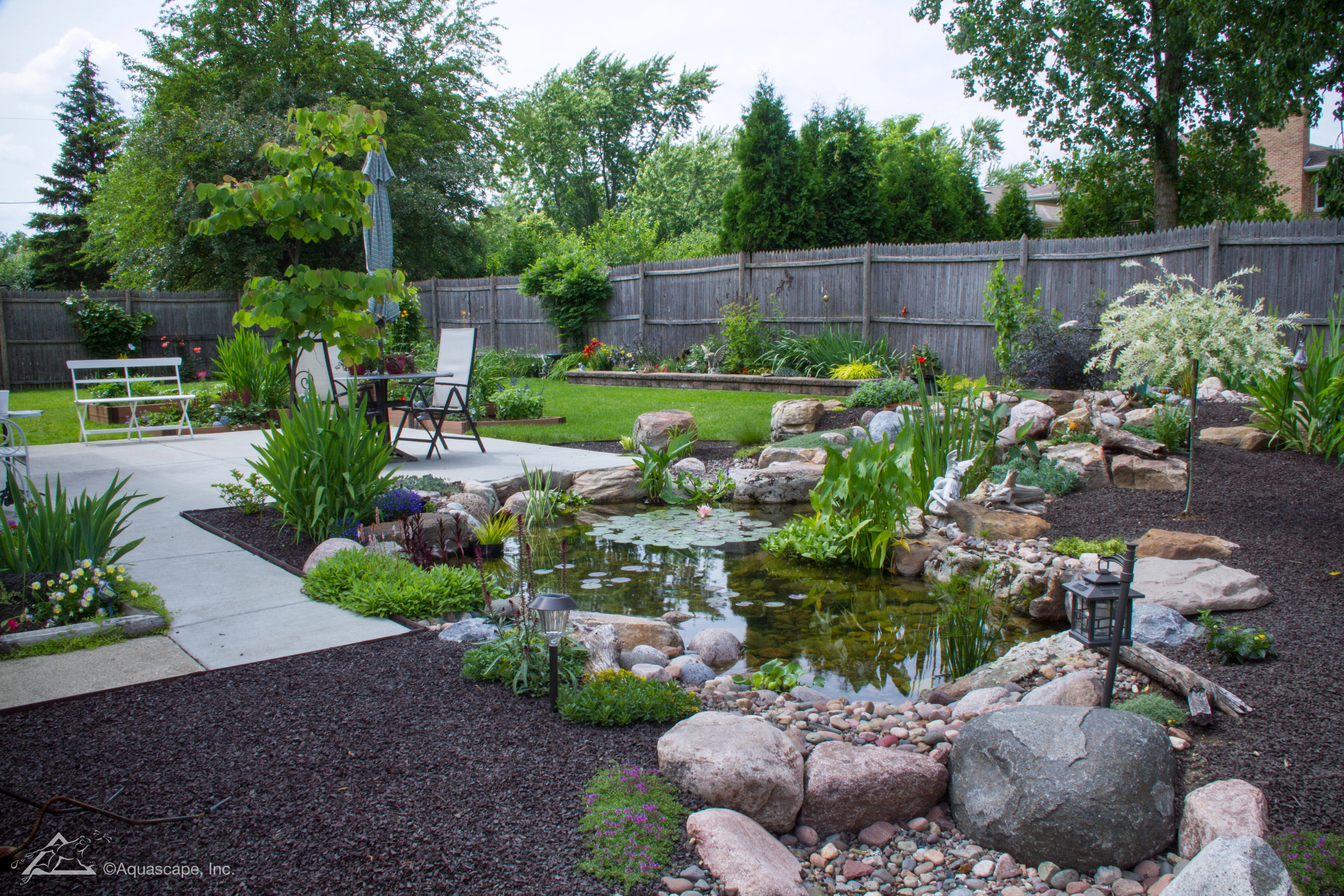 Summertime ecosystem pond with aquatic plants near Farmington Minnesota