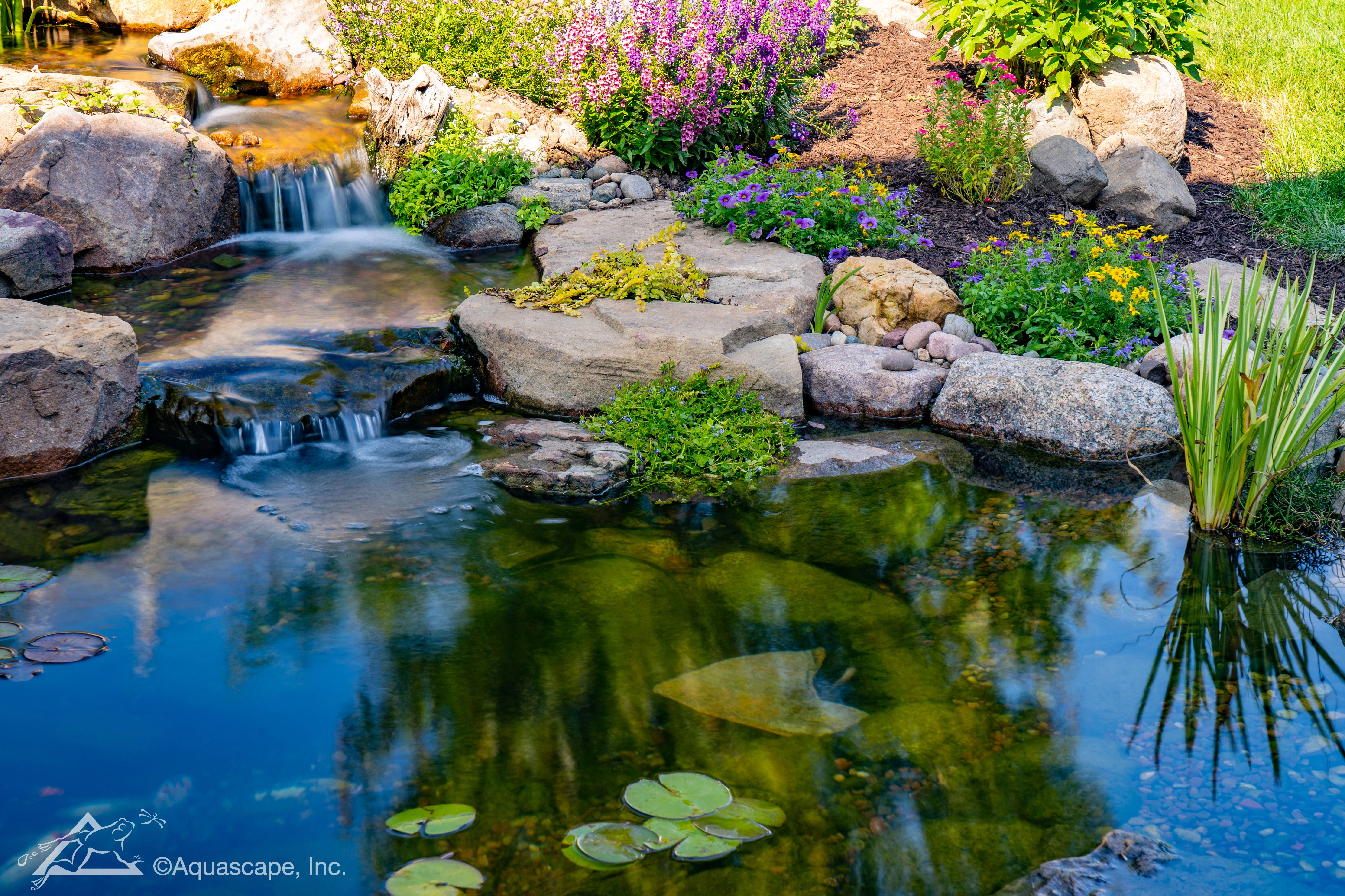 Backyard pond with waterfall and natural stone in Granite Falls Minnesota