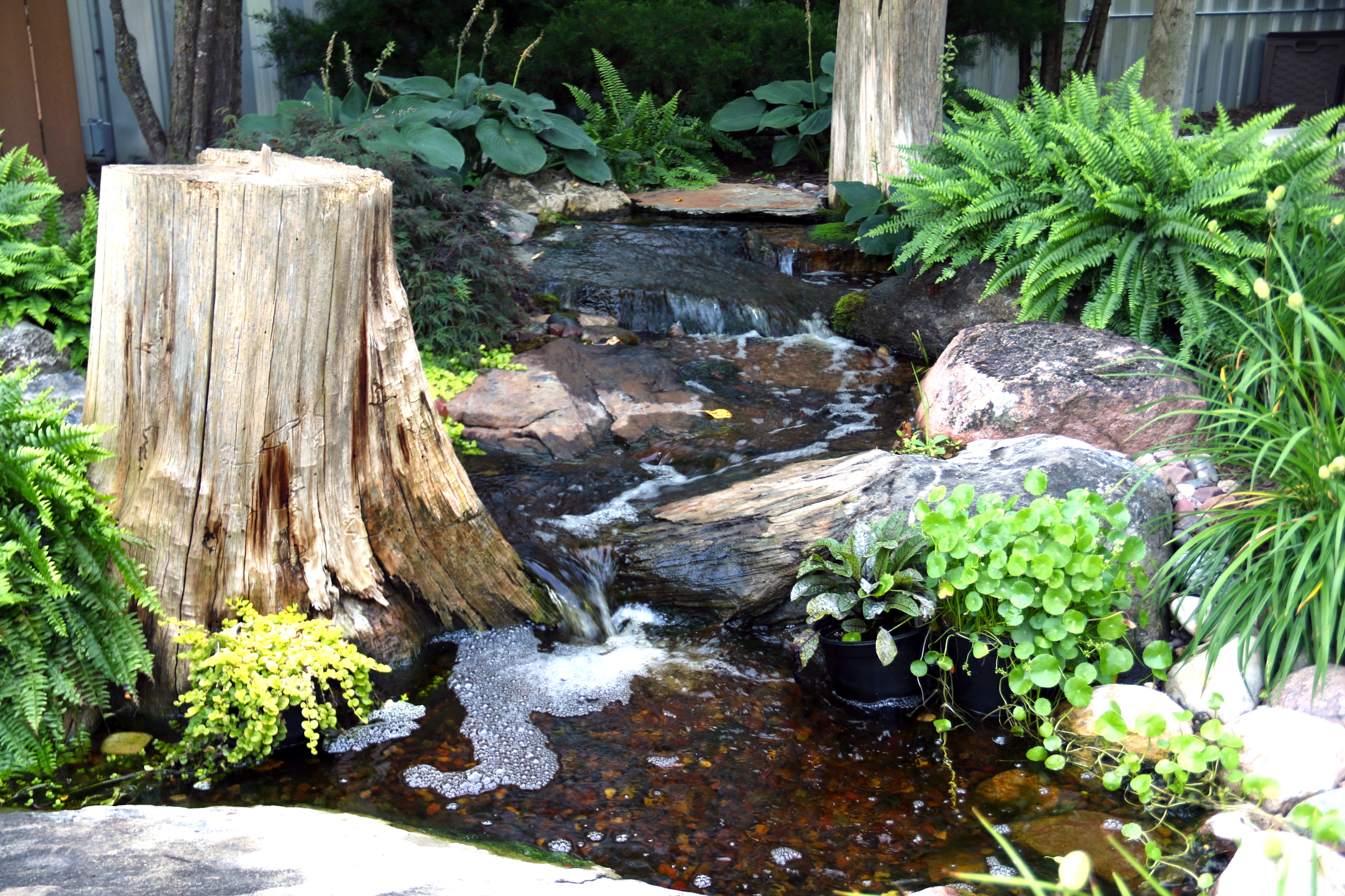 Natural pondless waterfall flowing through landscaped backyard setting