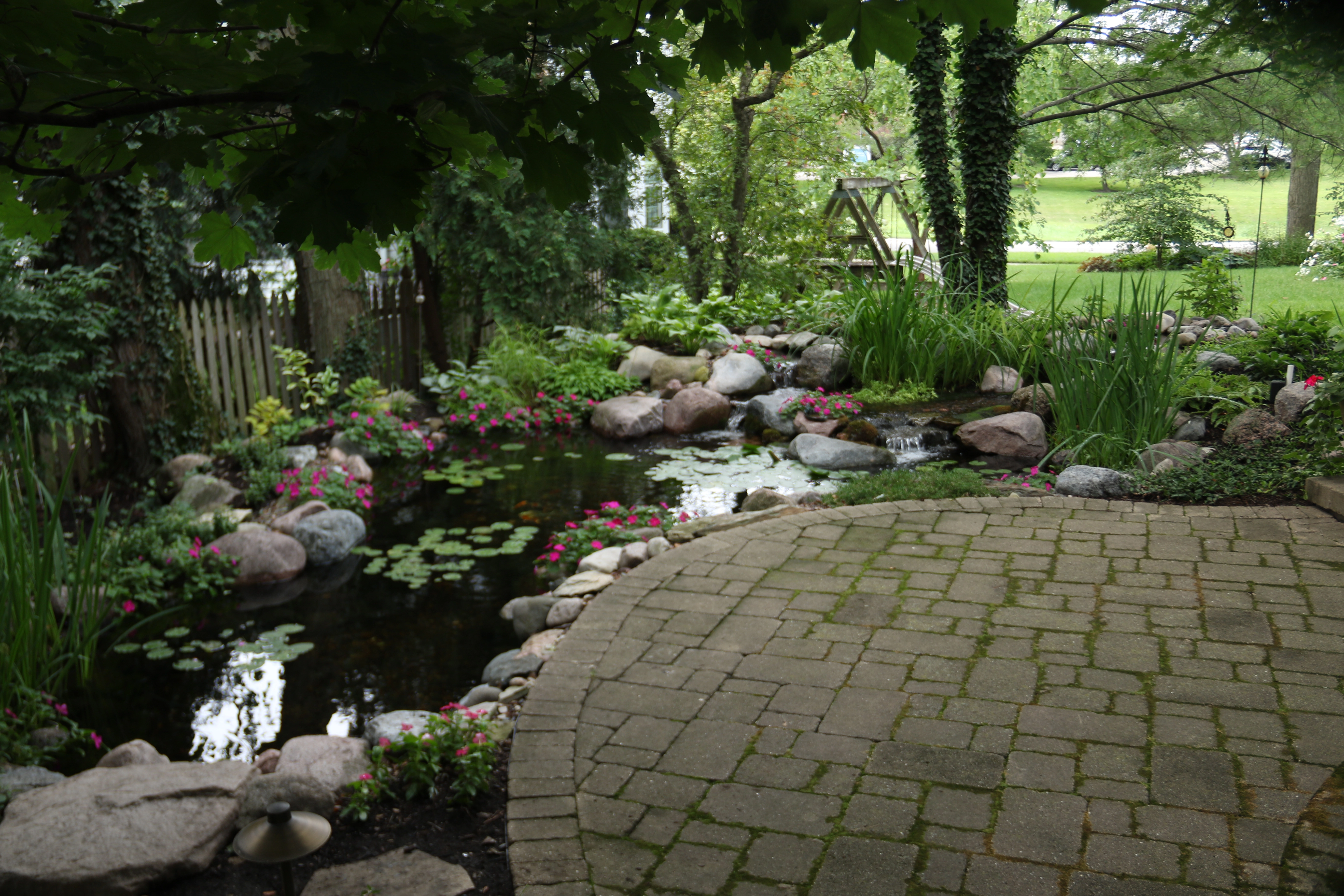 Natural ecosystem pond beside a paver patio in Jordan Minnesota