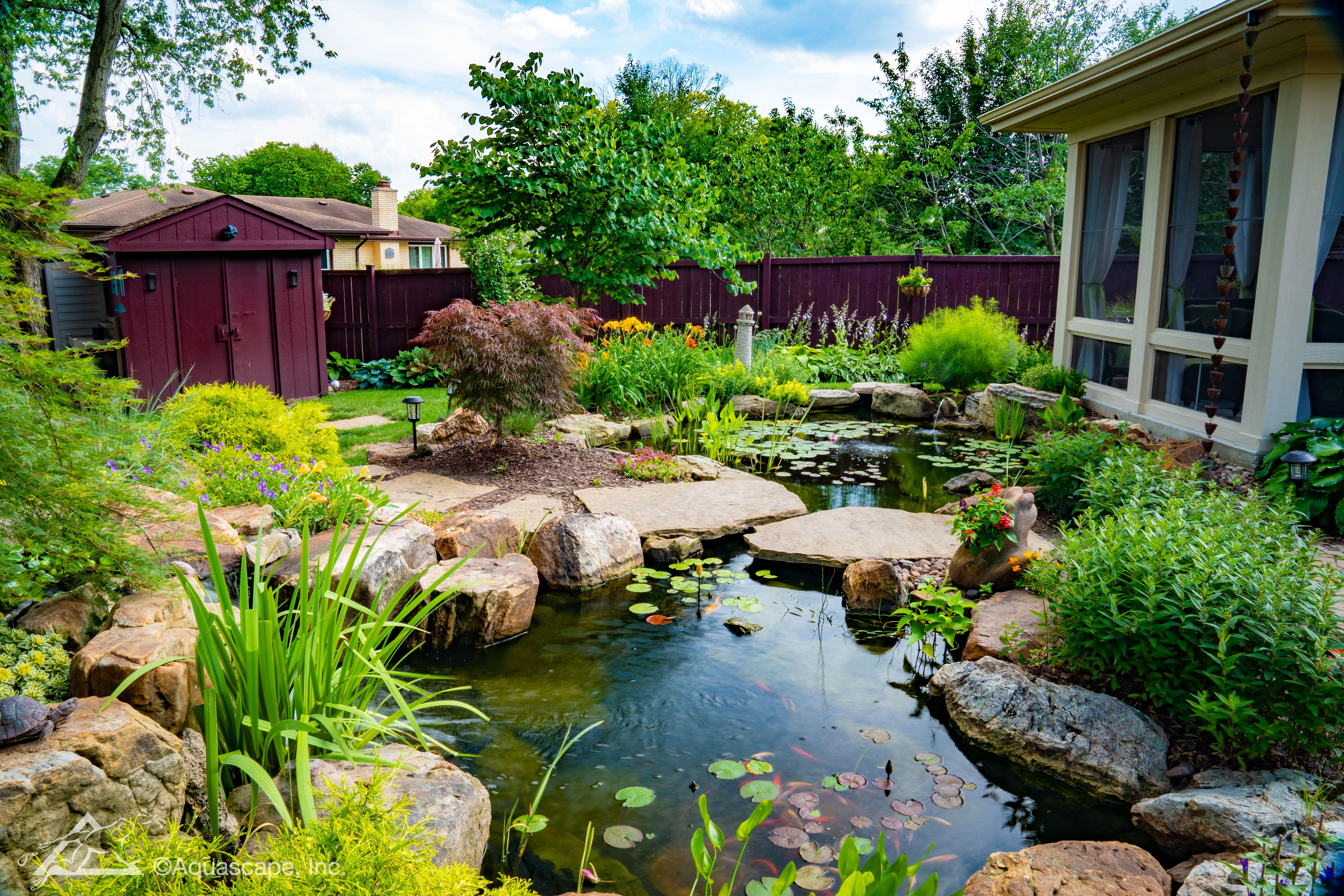 Beautiful backyard ecosystem pond in Minnesota during June