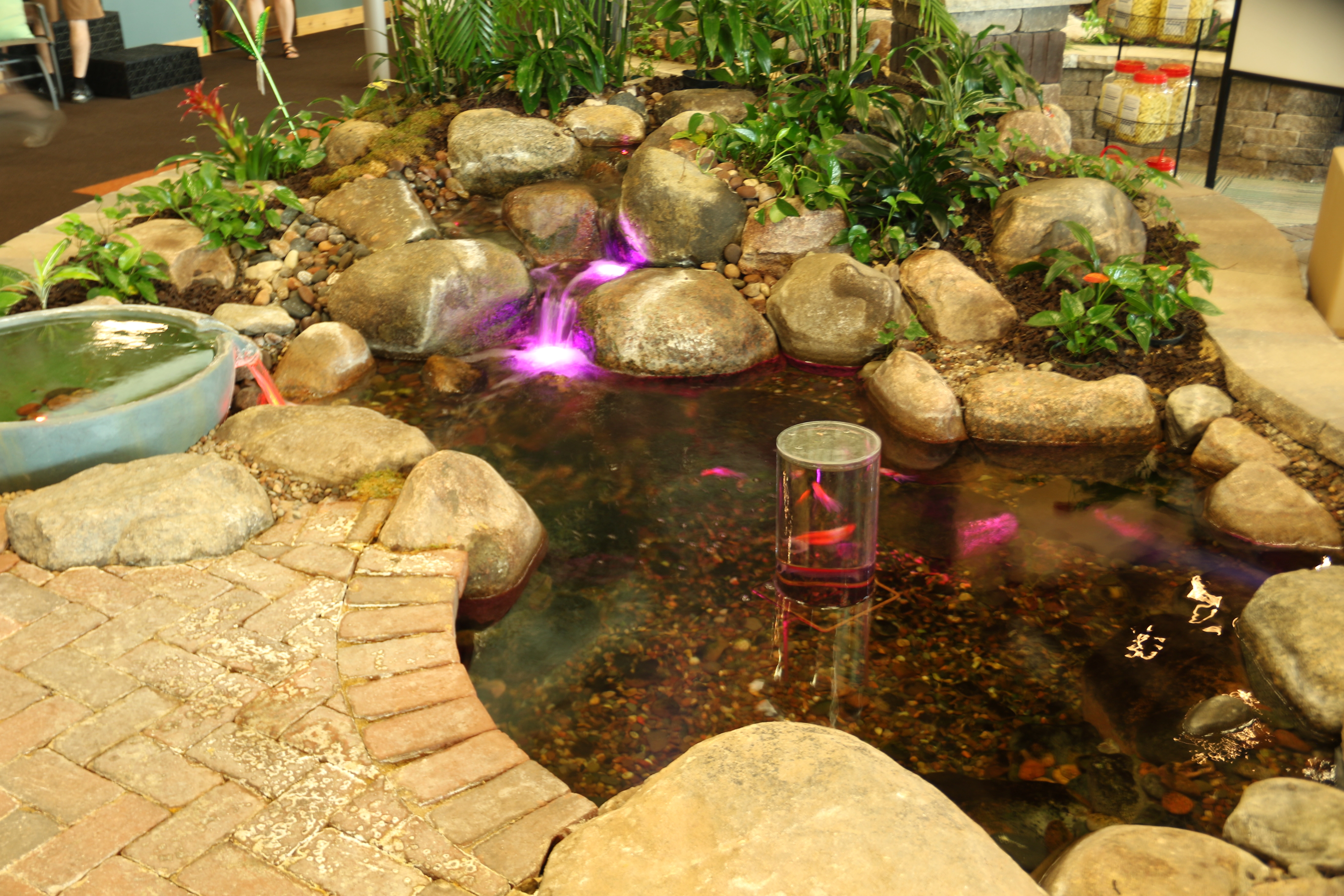 Medium backyard ecosystem pond for a Lakeville Minnesota outdoor living space
