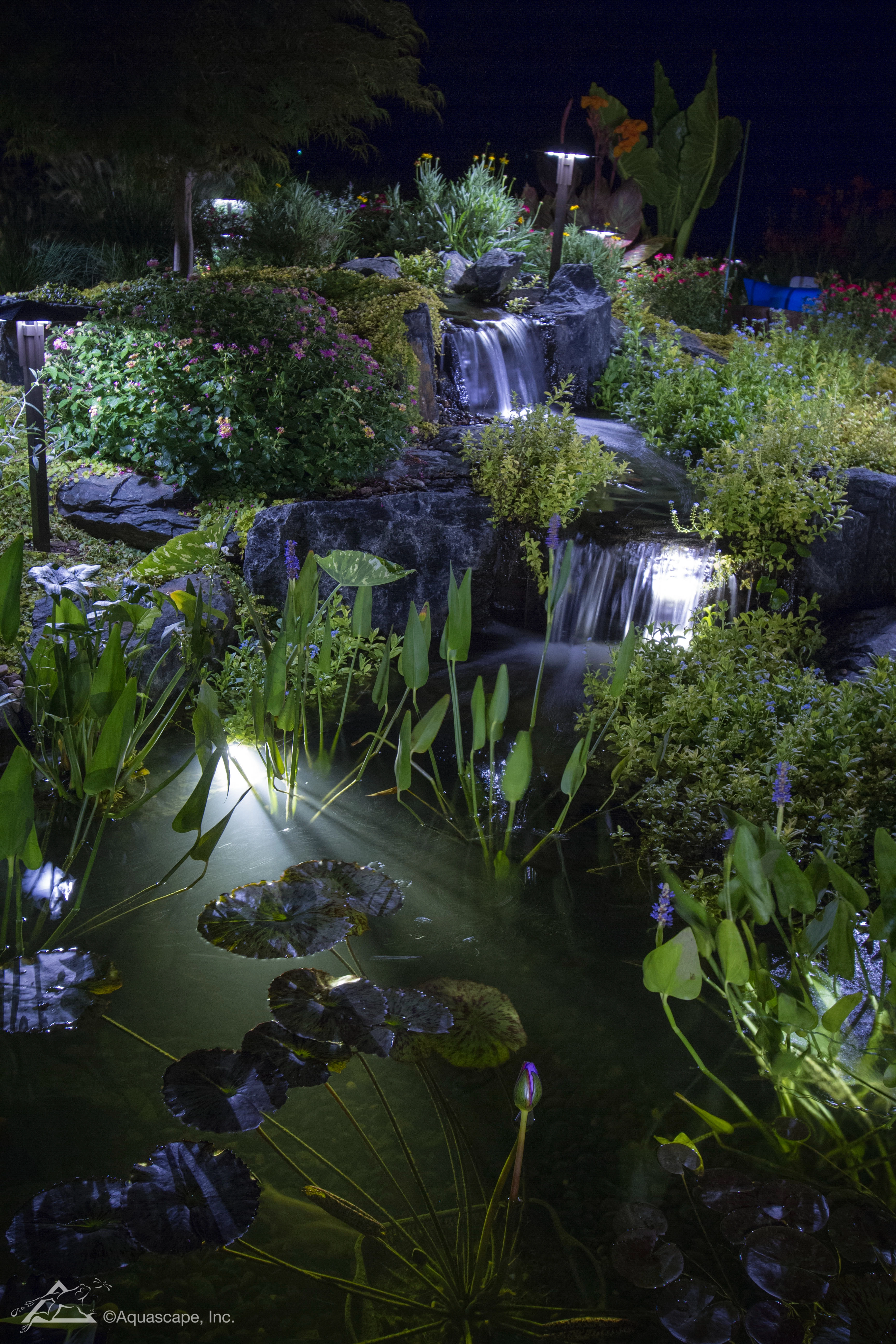 Nighttime backyard pond with waterfall lighting, aquatic plants, and illuminated landscape