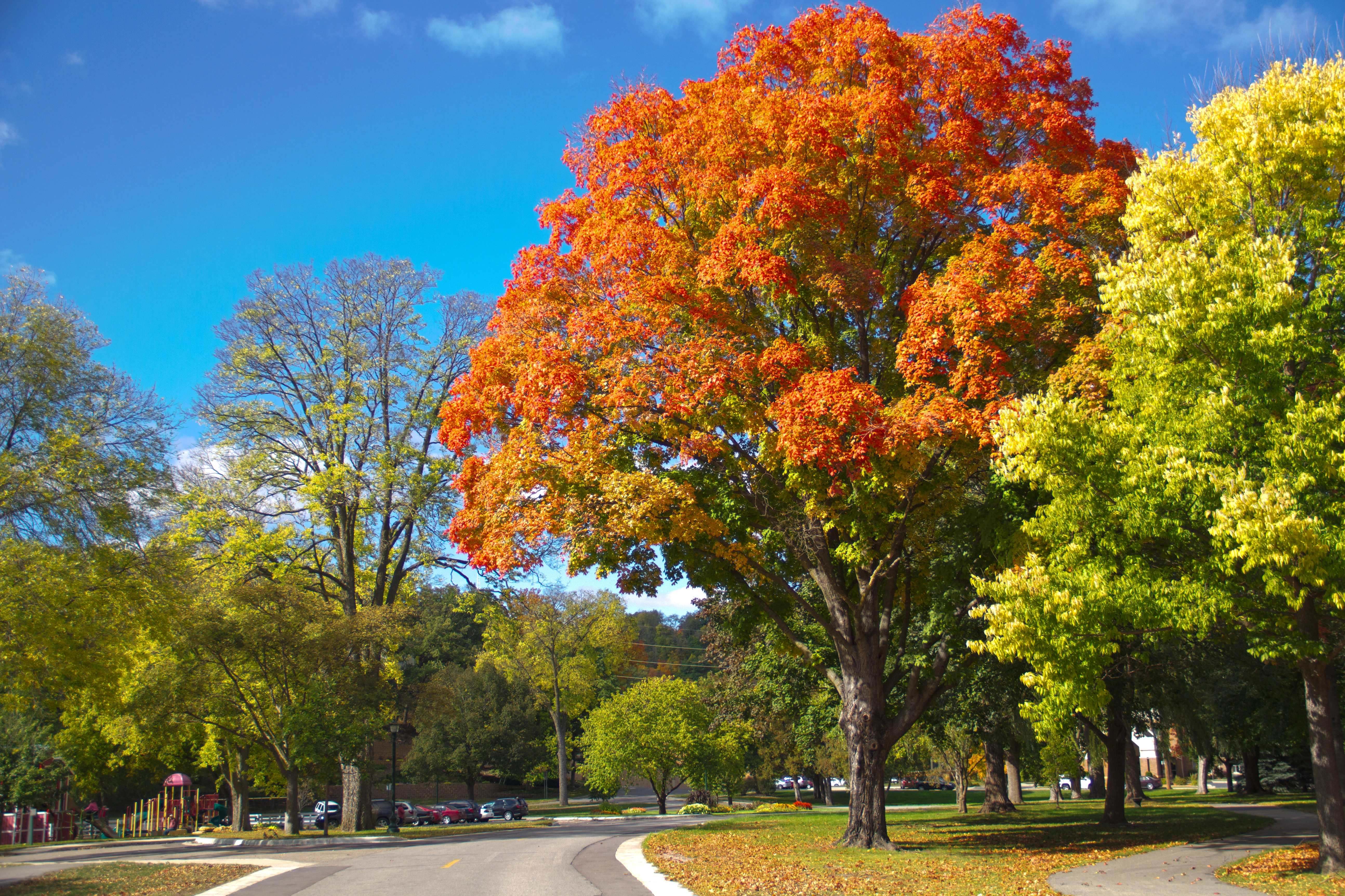 Sibley Park in Mankato Minnesota showing natural landscape and water features