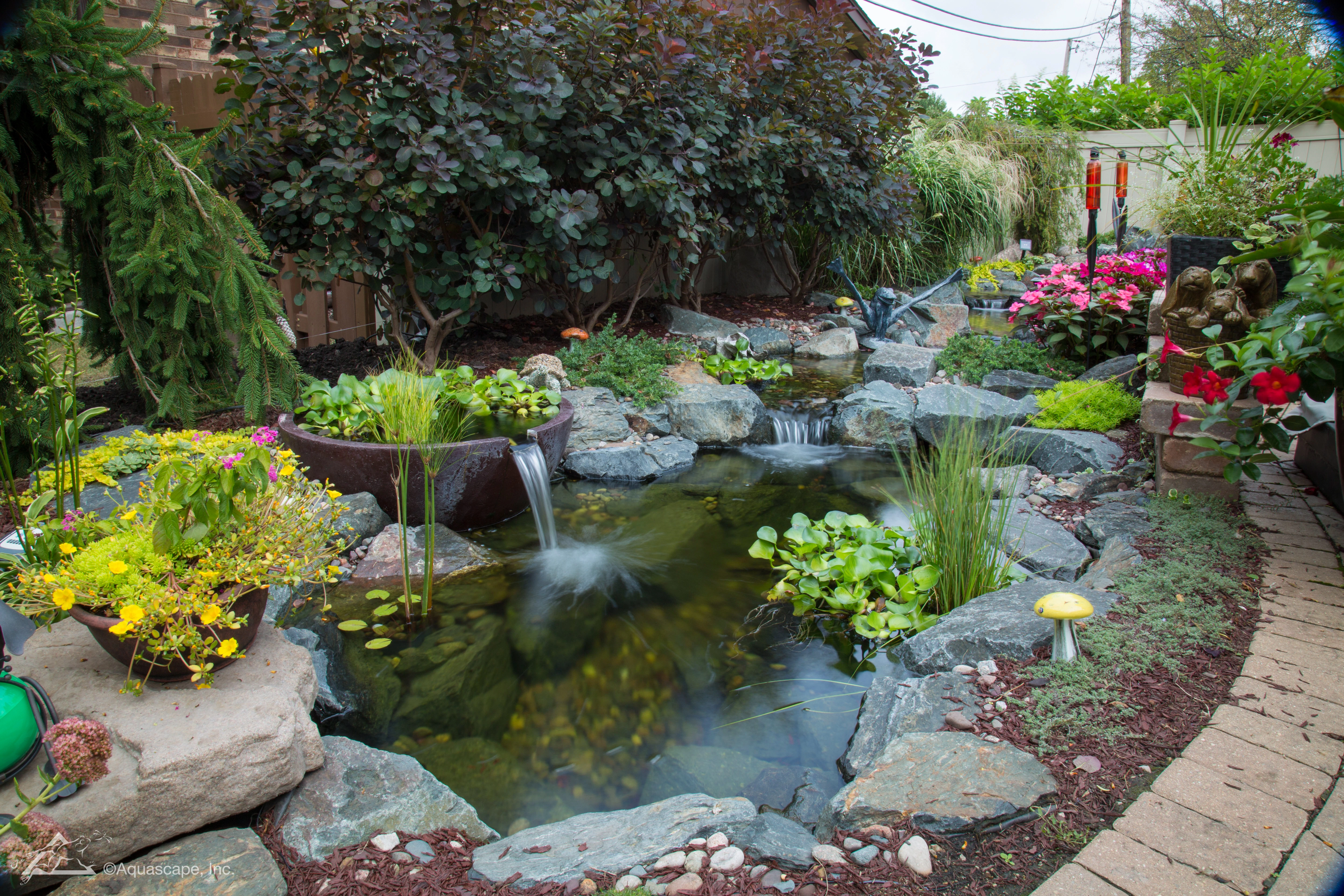 Ecosystem pond with waterfall in Maple Grove Minnesota