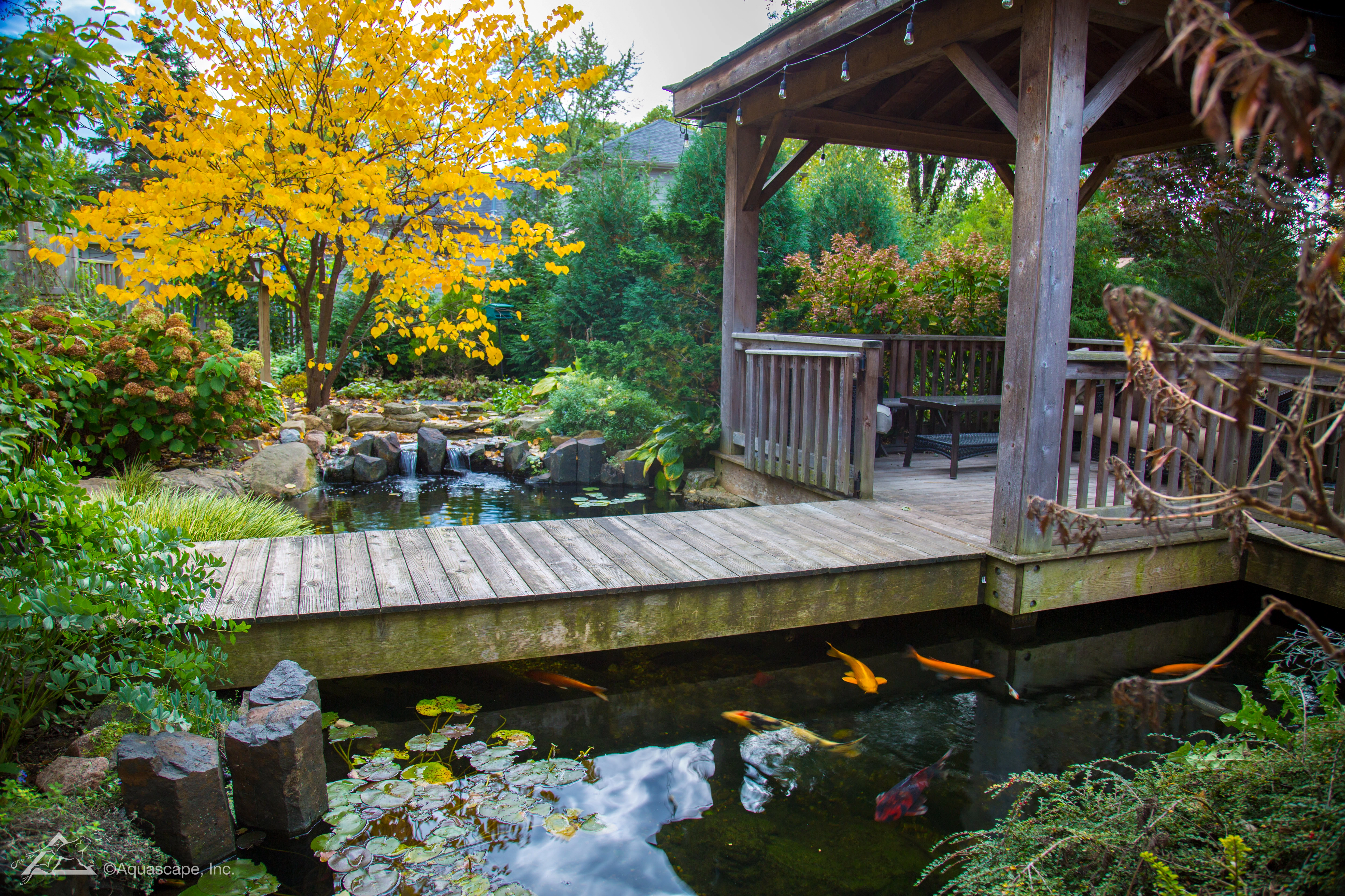 Autumn ecosystem pond with mature landscaping in Mendota Heights Minnesota