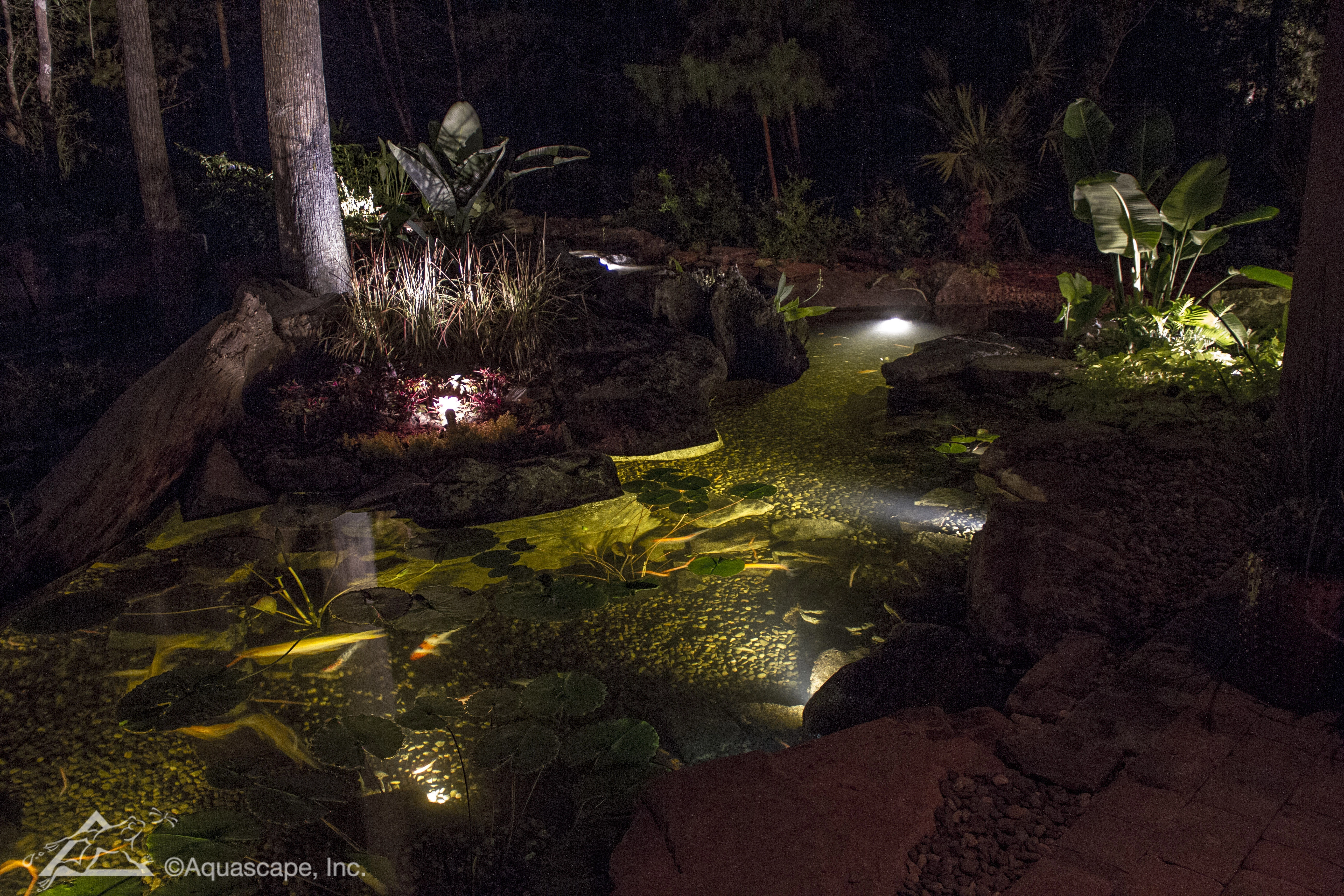 Nighttime ecosystem pond with underwater lighting in North Oaks Minnesota
