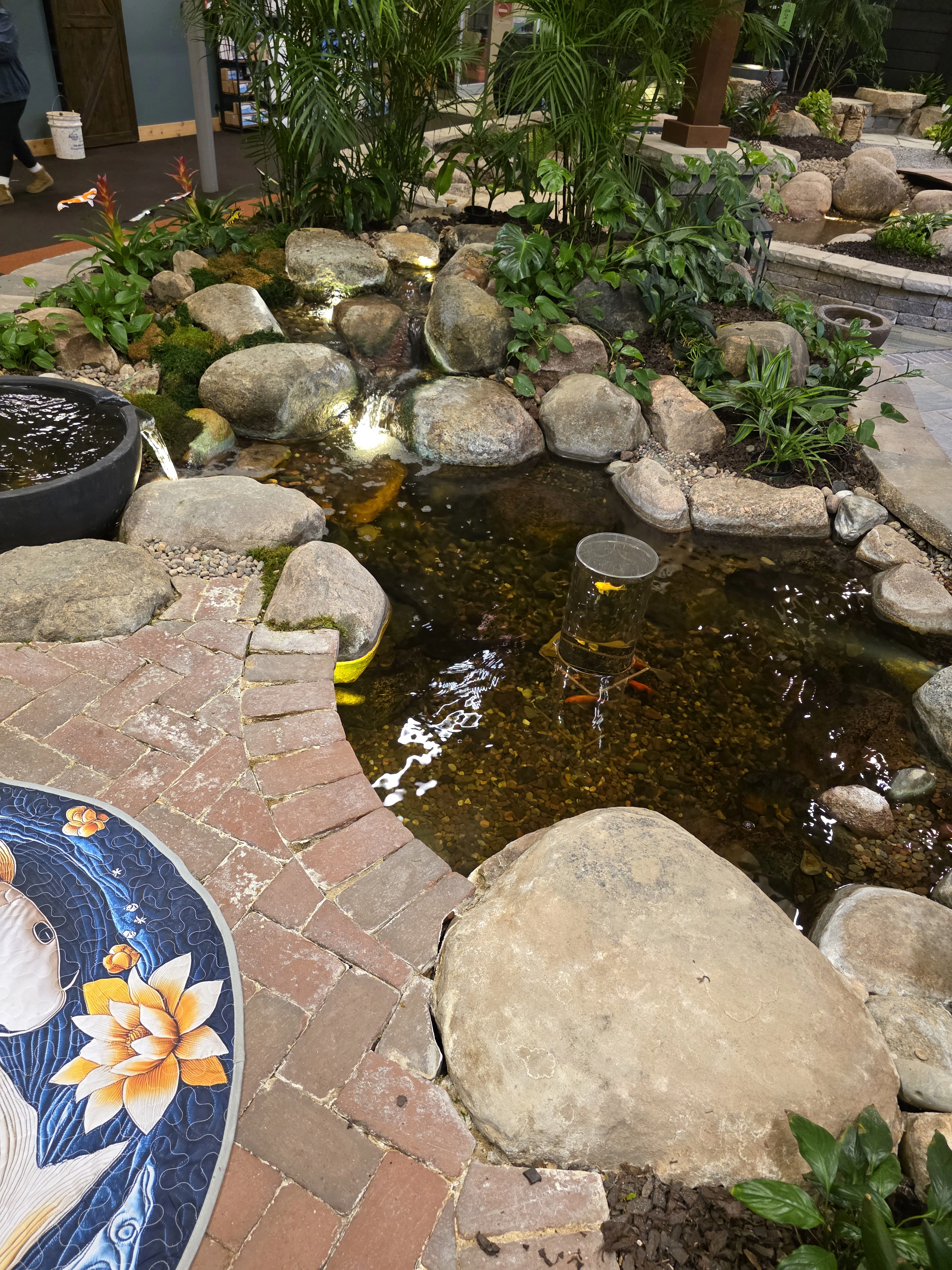 Custom ecosystem pond for a Plymouth Minnesota backyard