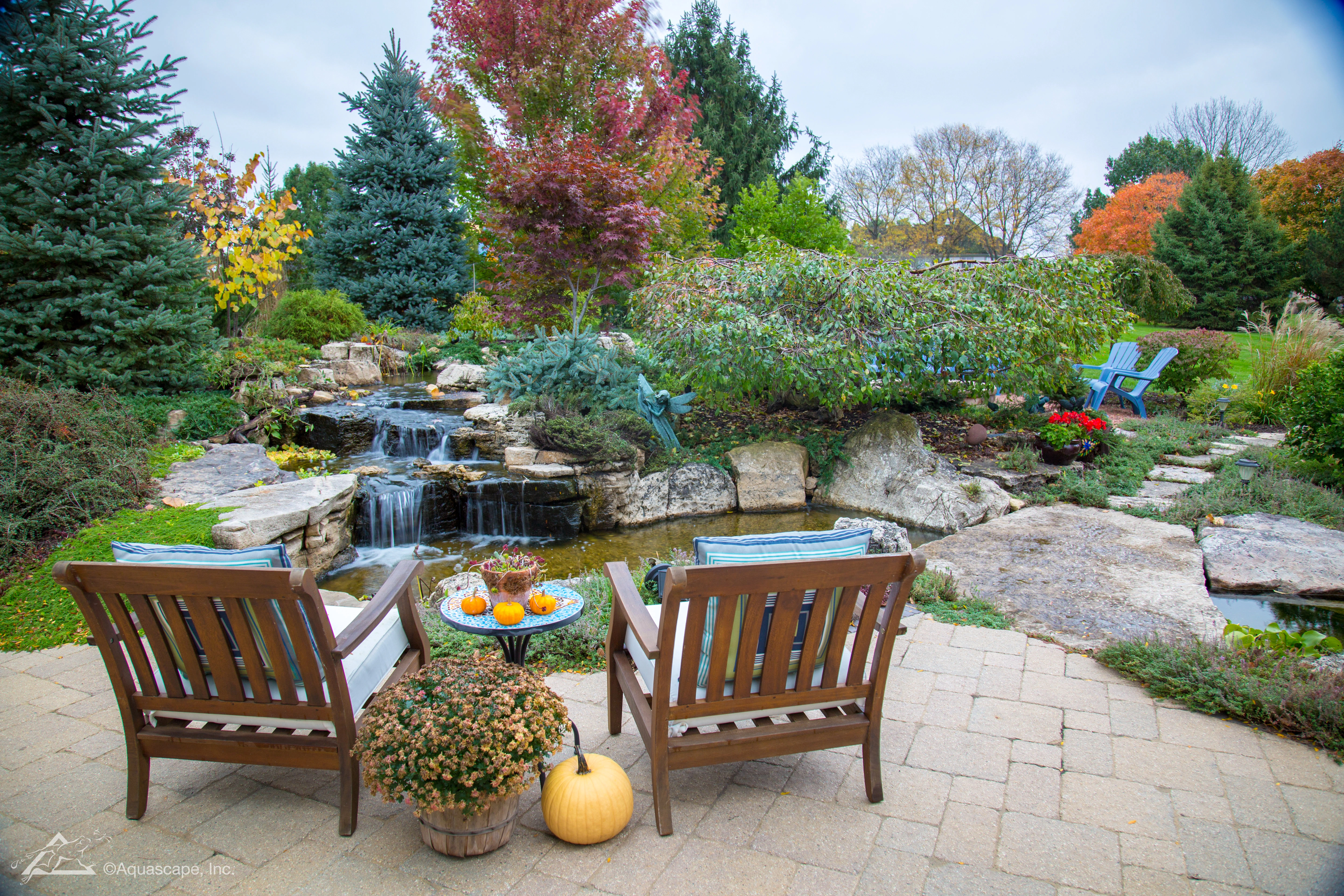 Autumn ecosystem pond with seating area in Minnesota