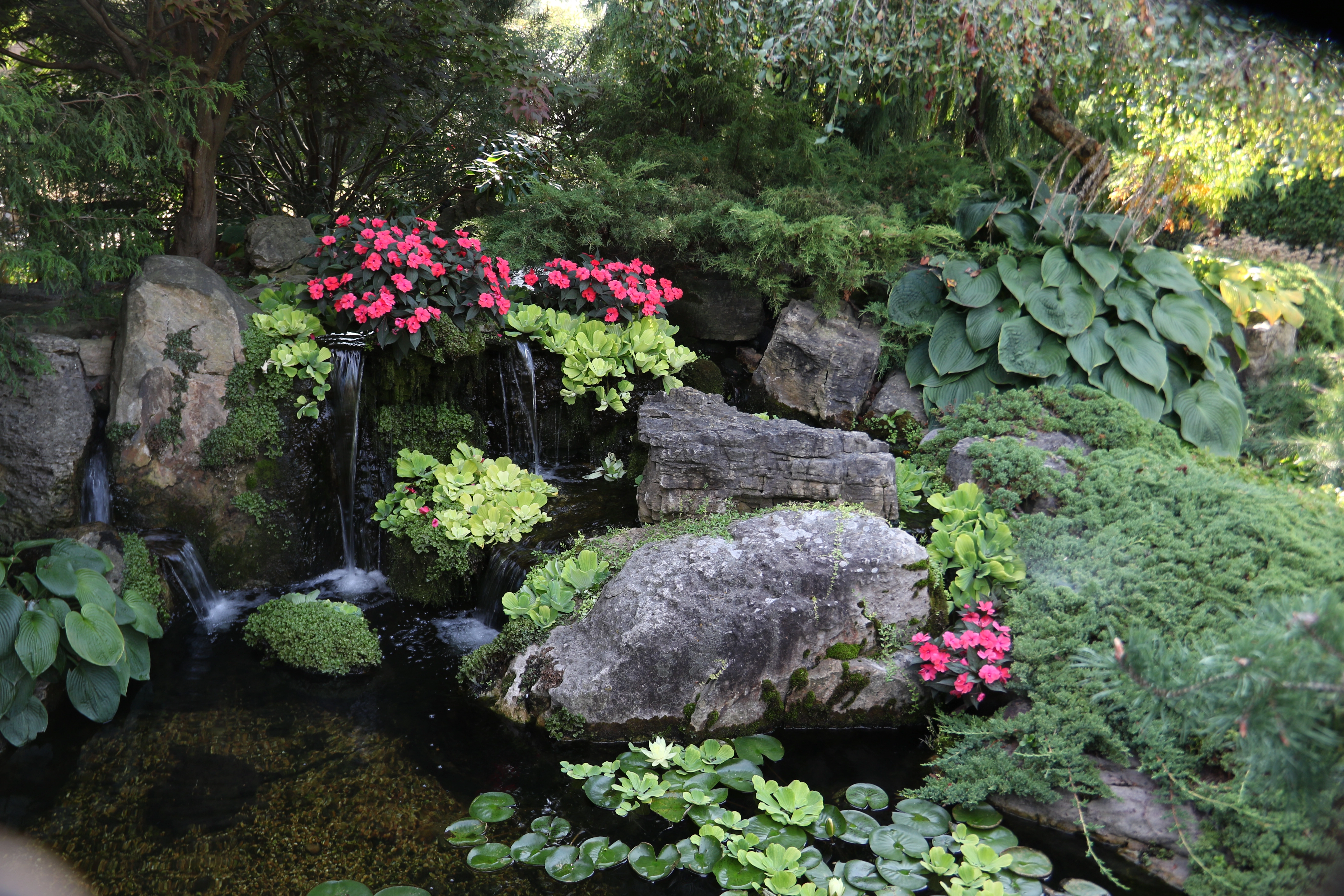 Mature ecosystem pond with lush landscaping and waterfall in Redwood Falls Minnesota