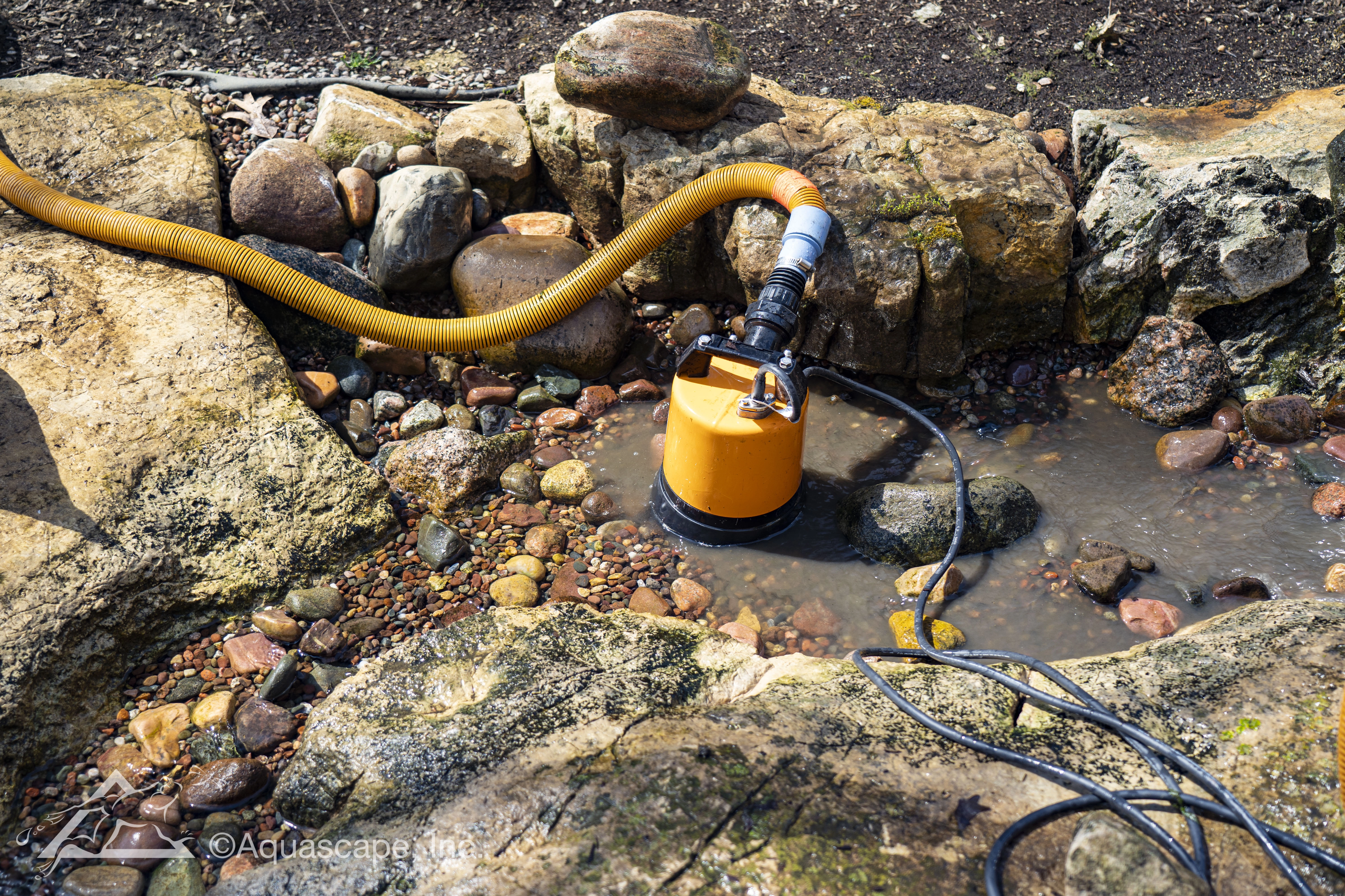 Draining the pond with a cleanout pump