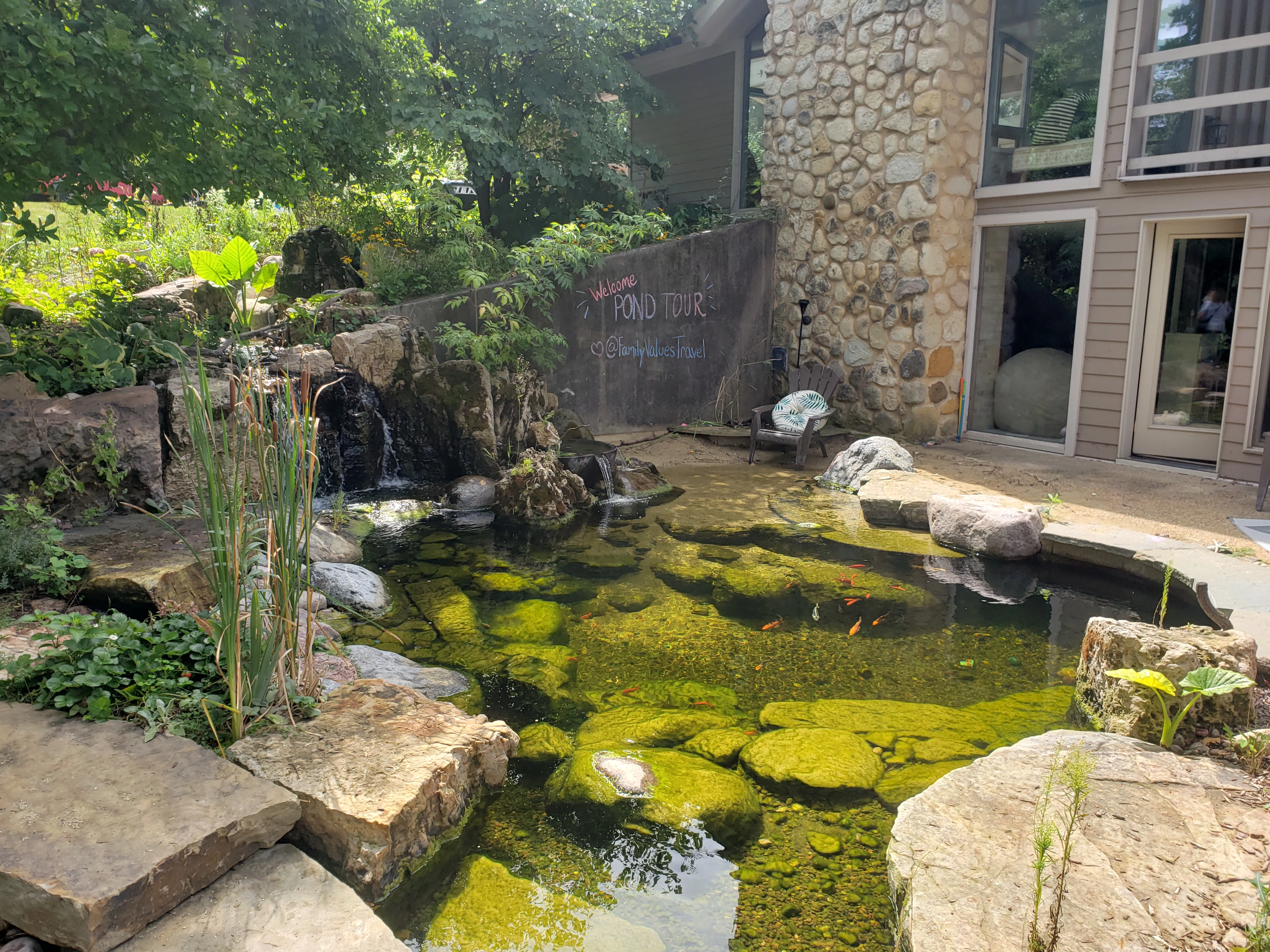 Summer pond tour backyard ecosystem pond in Shoreview Minnesota