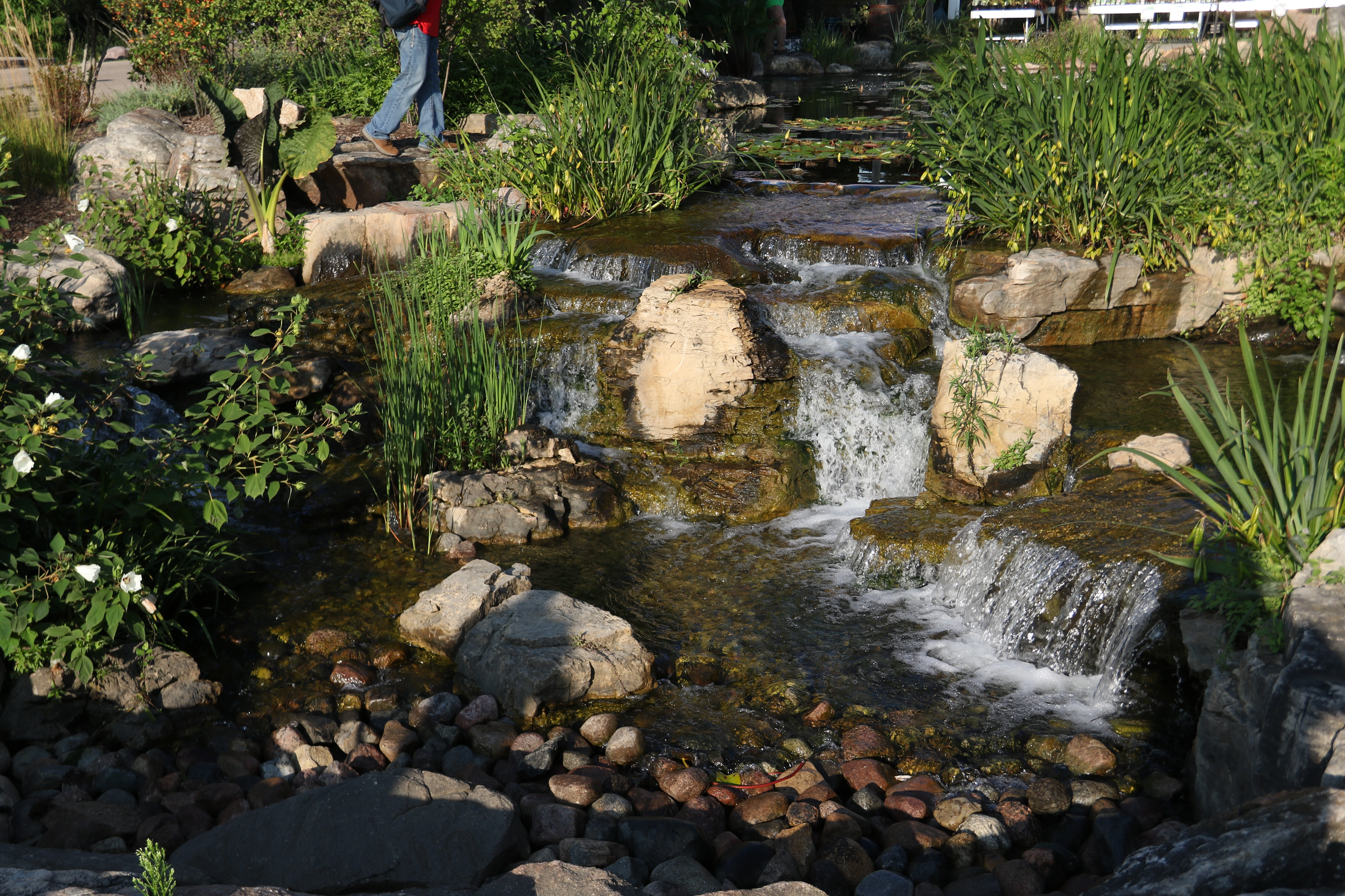 Negative edge ecosystem pond for a Shorewood Minnesota backyard near Lake Minnetonka