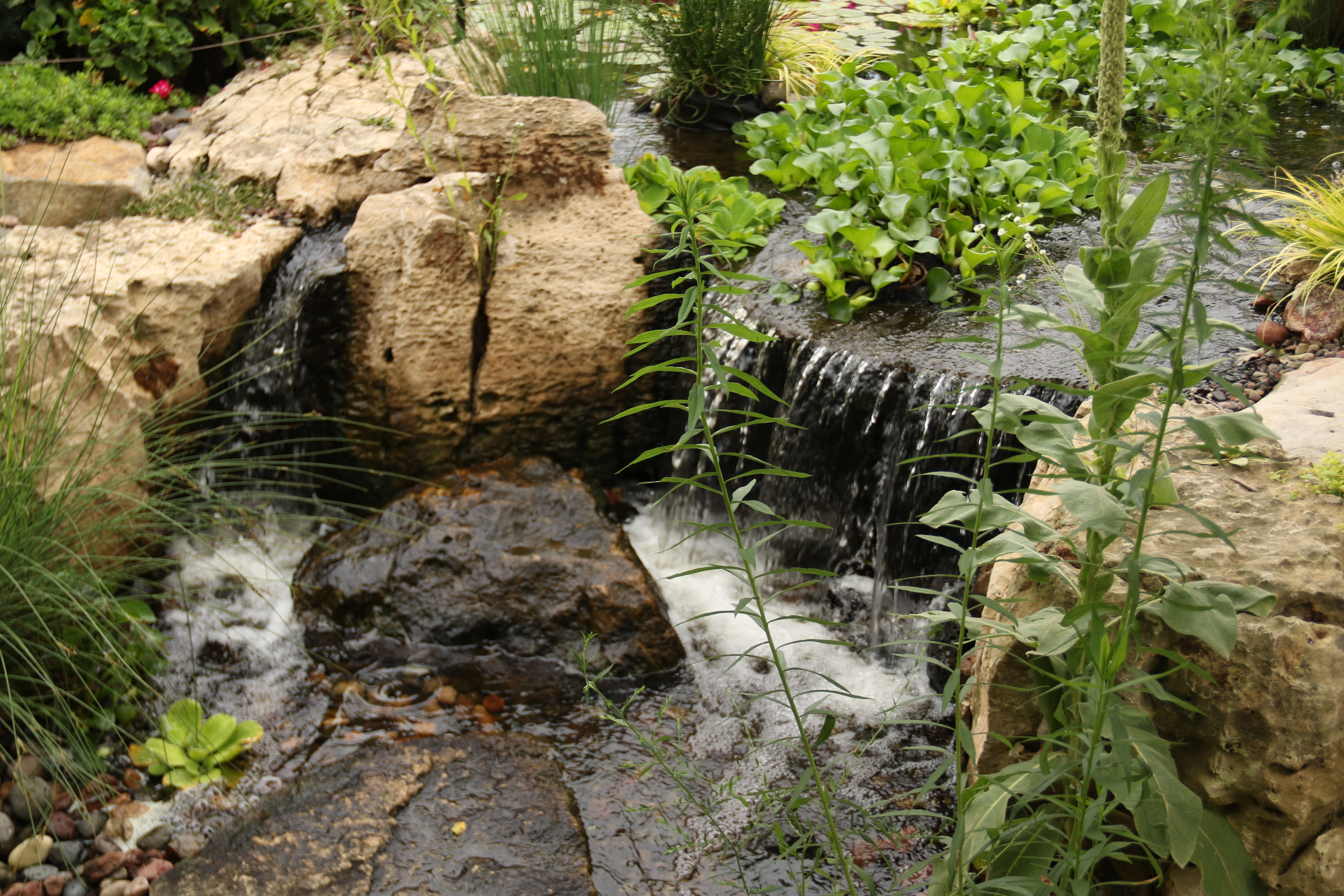 Natural waterfall and stream water feature designed for a Southern Minnesota property