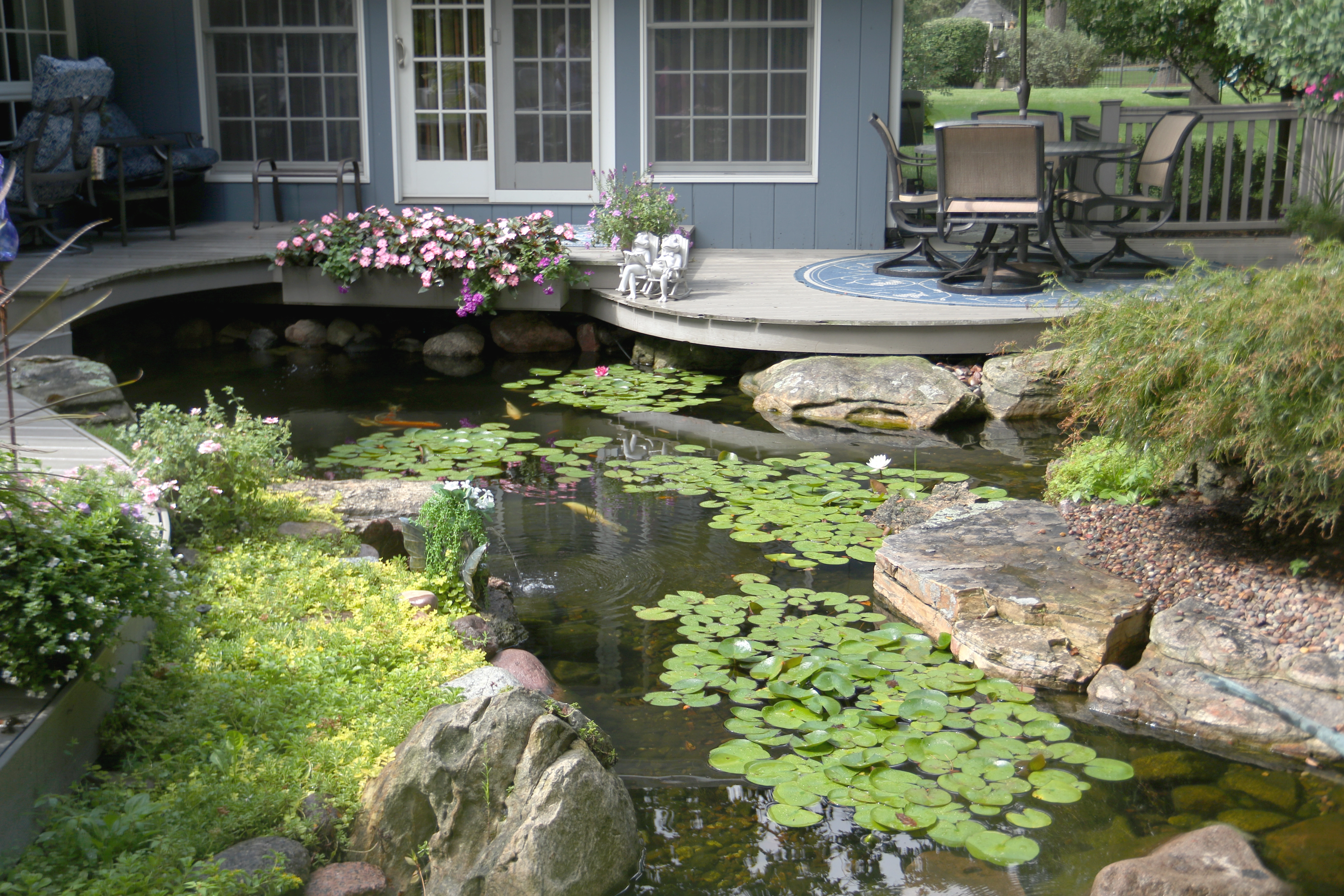 High-end custom pond in Twin Cities Minnesota
