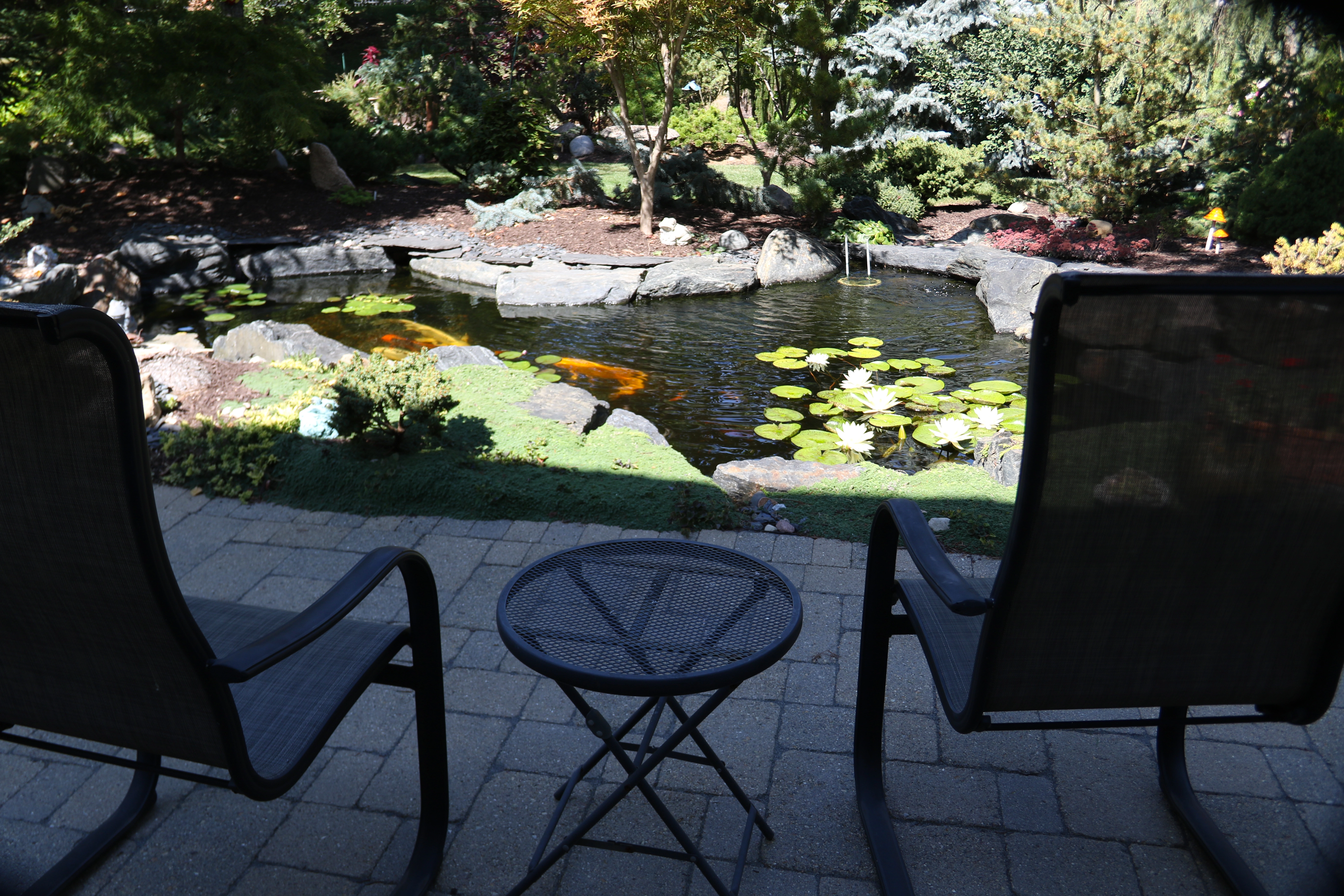 Mature backyard landscape with custom pond and outdoor living space near Victoria Minnesota