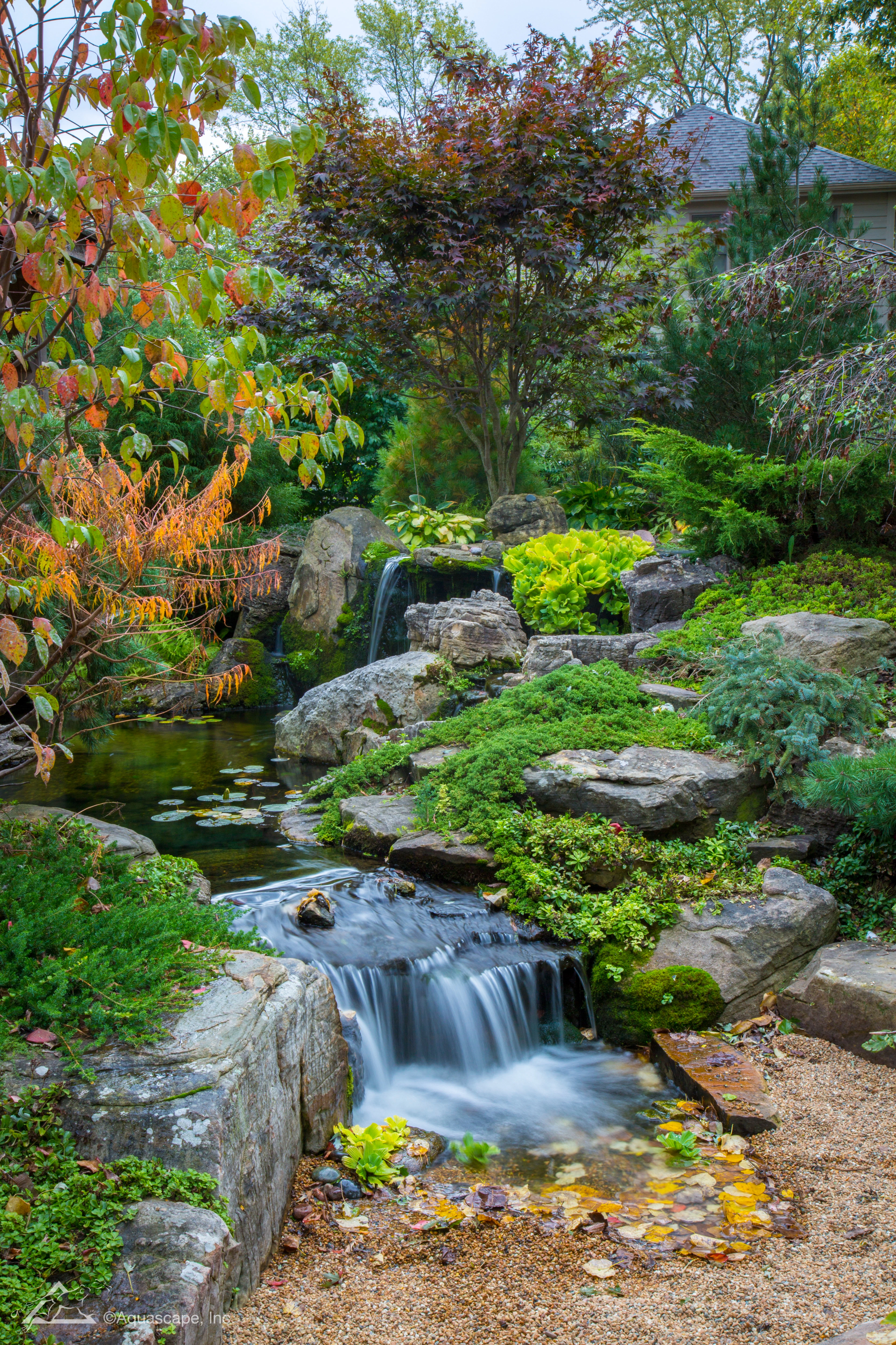 Autumn ecosystem pond with negative edge waterfall in Woodbury Minnesota